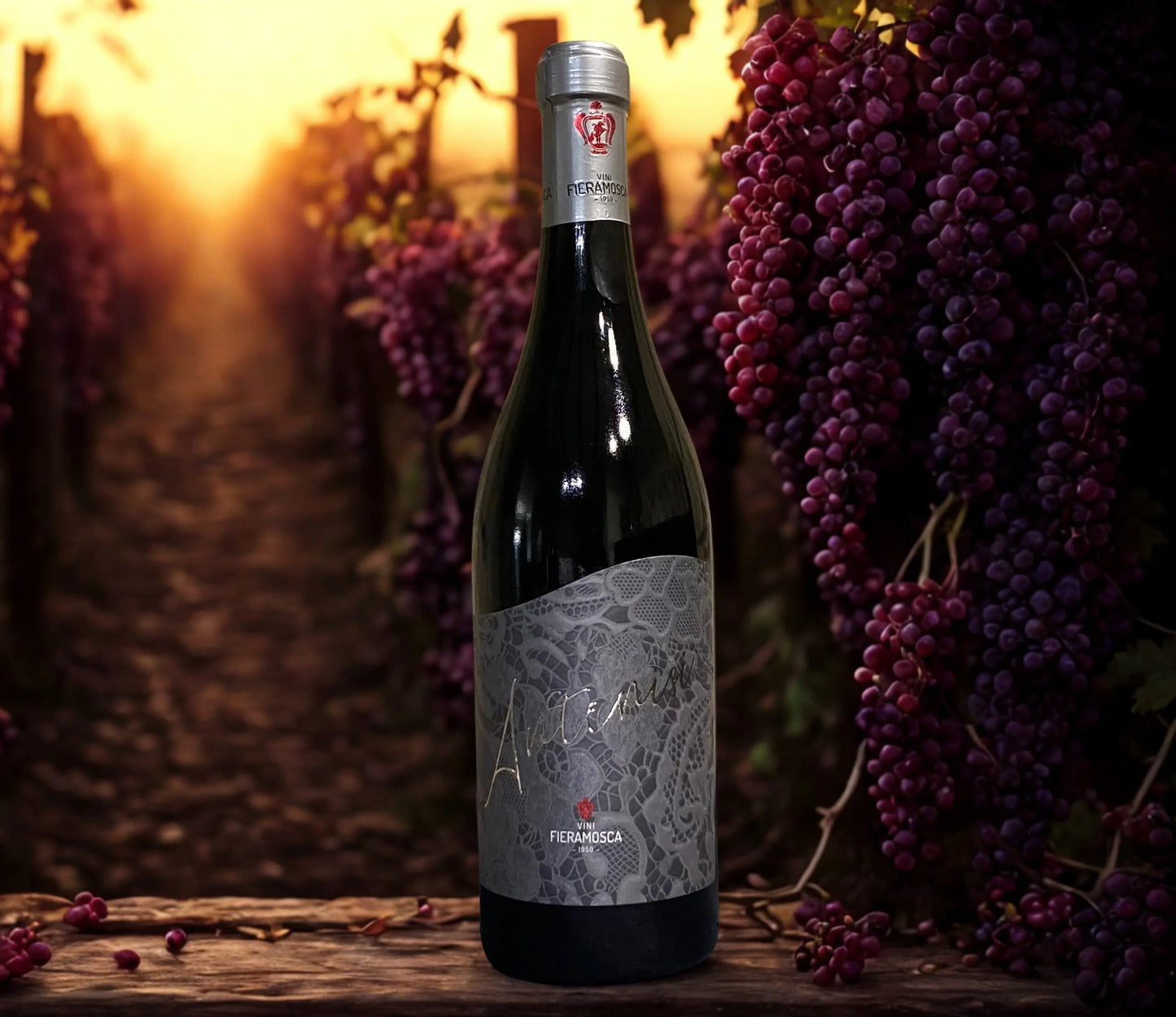 PRIMITIVO ANTENISI-FIERAMOSCA Fieramosca