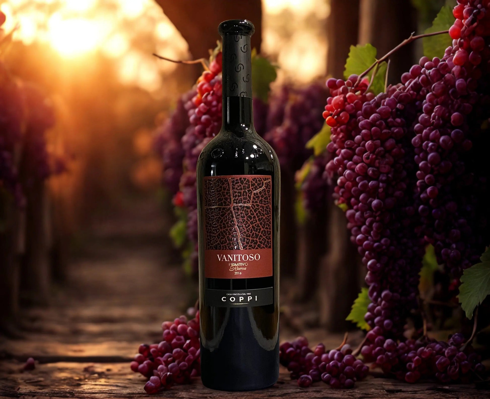 PRIMITIVO VANITOSO D.O.C. GIOIA DEL COLLE RISERVA-COPPI COPPI