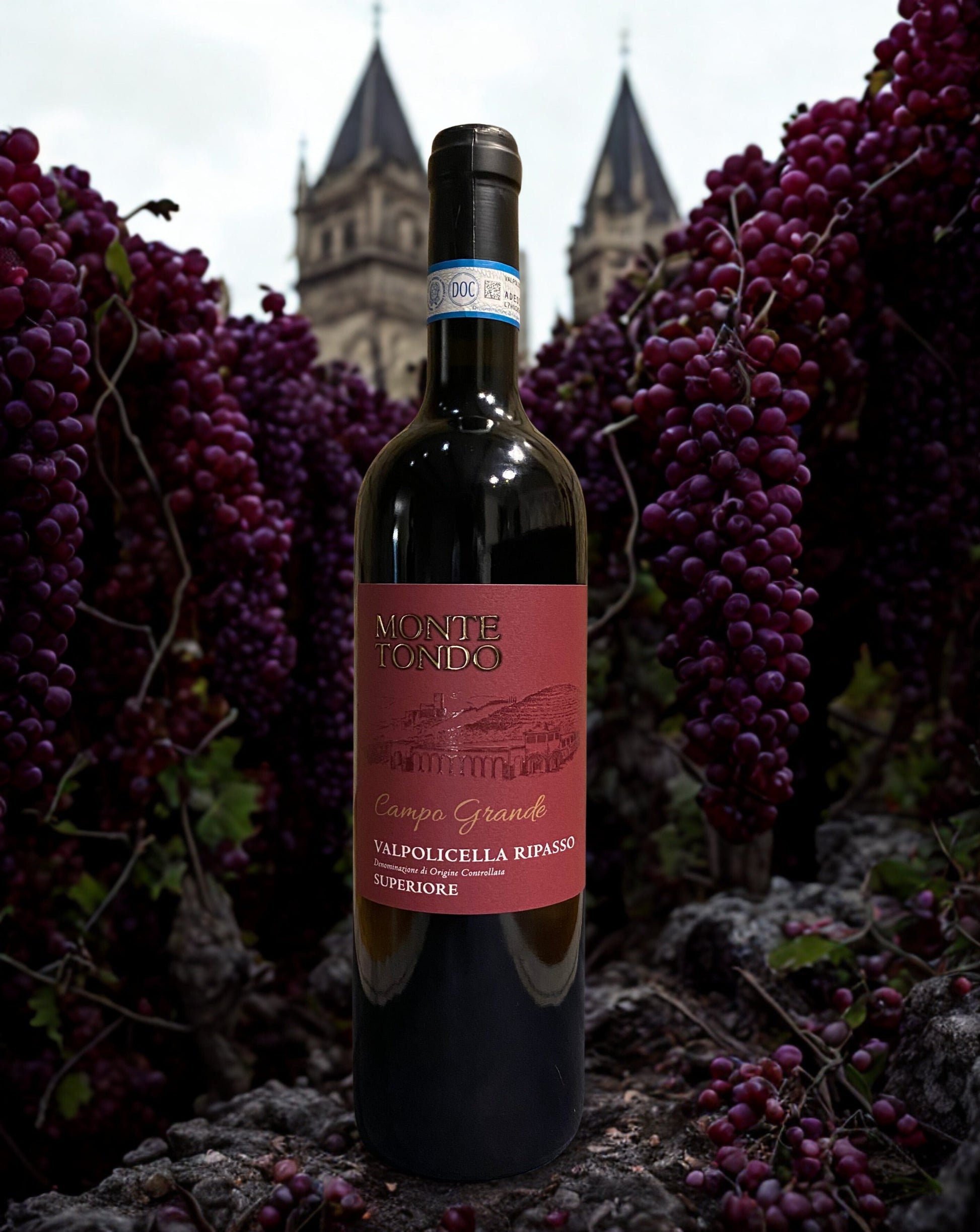 CORVINA RONDINELLA CAMPO GRANDE VALPOLICELLA RIPASSO 2020-MONTE TONDO Monte tondo