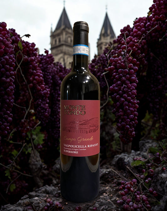 CORVINA RONDINELLA CAMPO GRANDE VALPOLICELLA RIPASSO 2020-MONTE TONDO Monte tondo