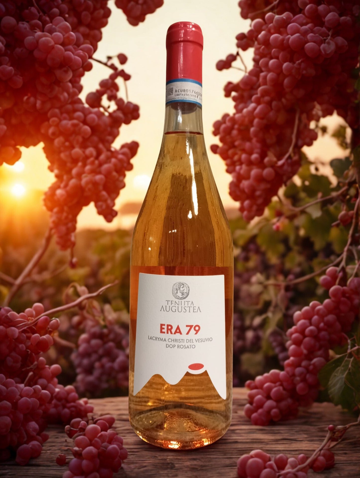 ERA 79 ROSATO-TENUTA AUGUSTEA TENUTA AUGUSTEA