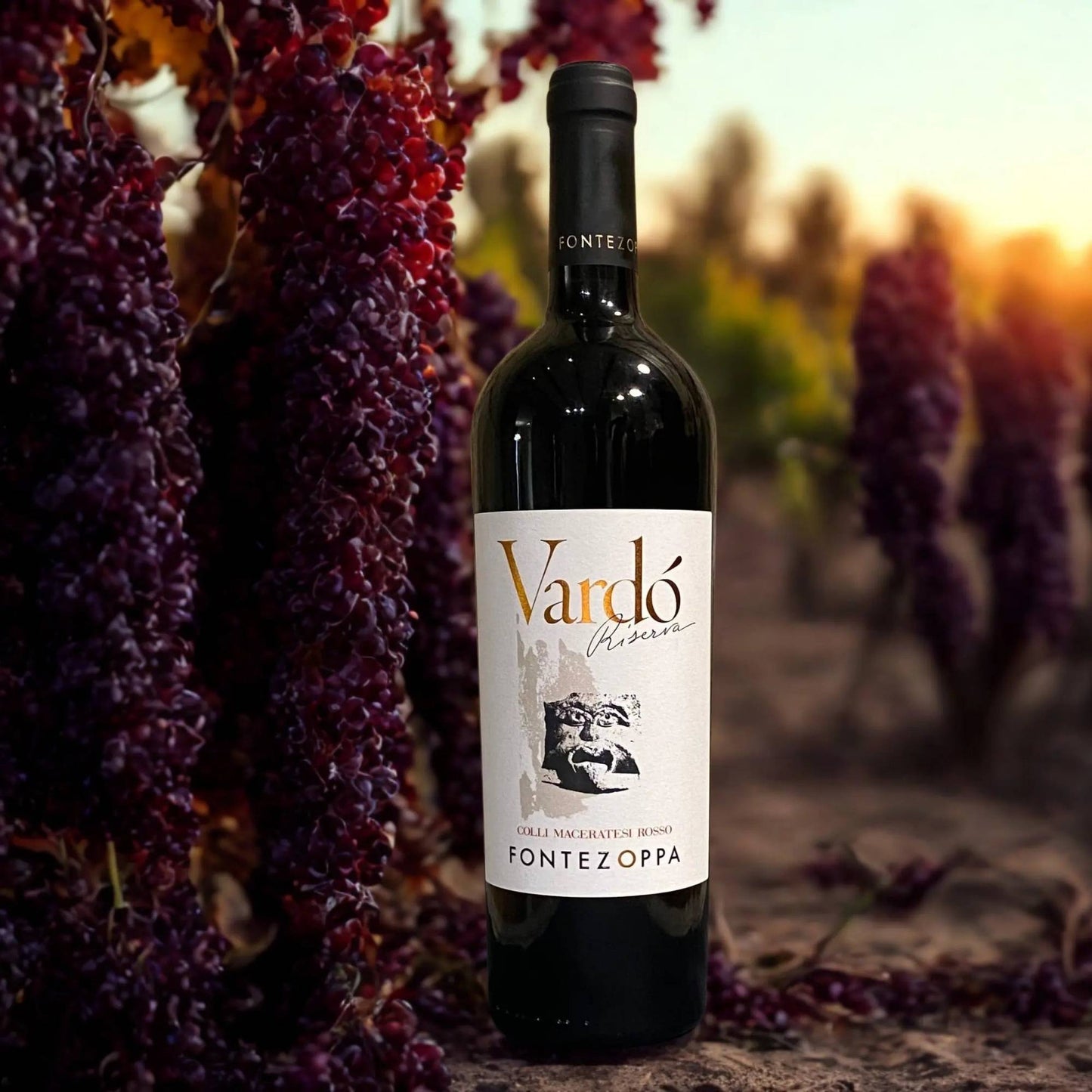 SANGIOVESE VARDÒ RISERVA