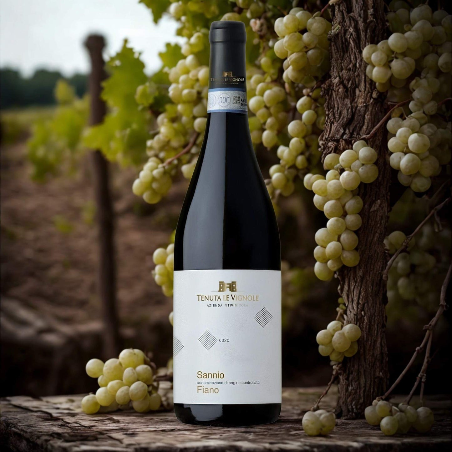 FIANO DEL SANNIO DOC