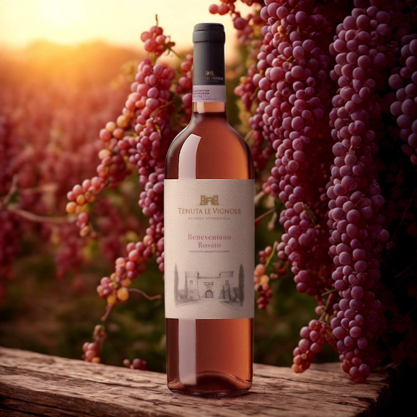 ROSATO BENEVENTANO