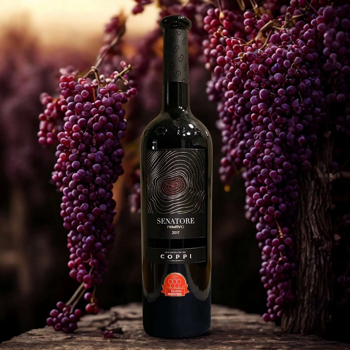 PRIMITIVO SENATORE D.O.C. GIOIA DEL COLLE