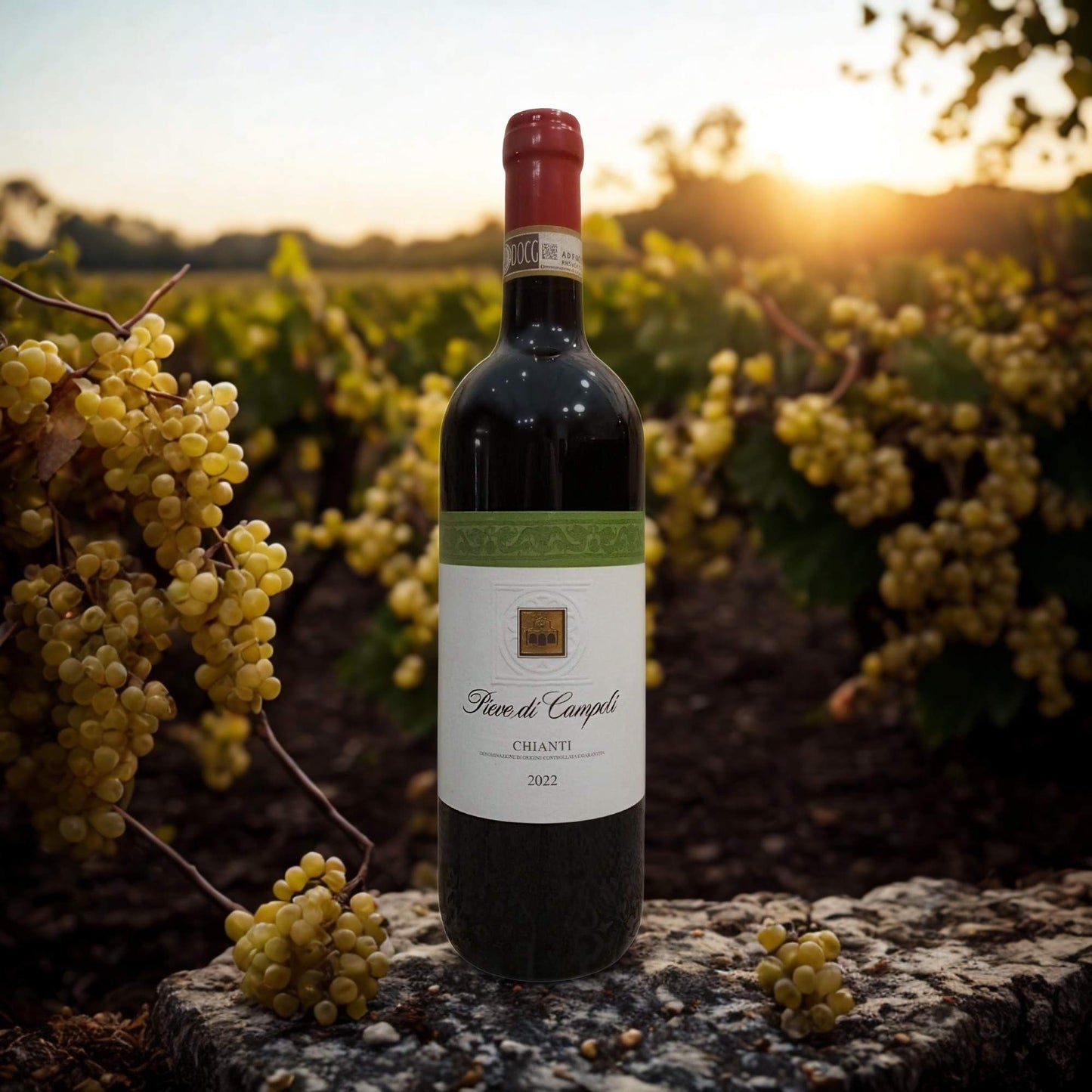CHIANTI DOCG 2024
