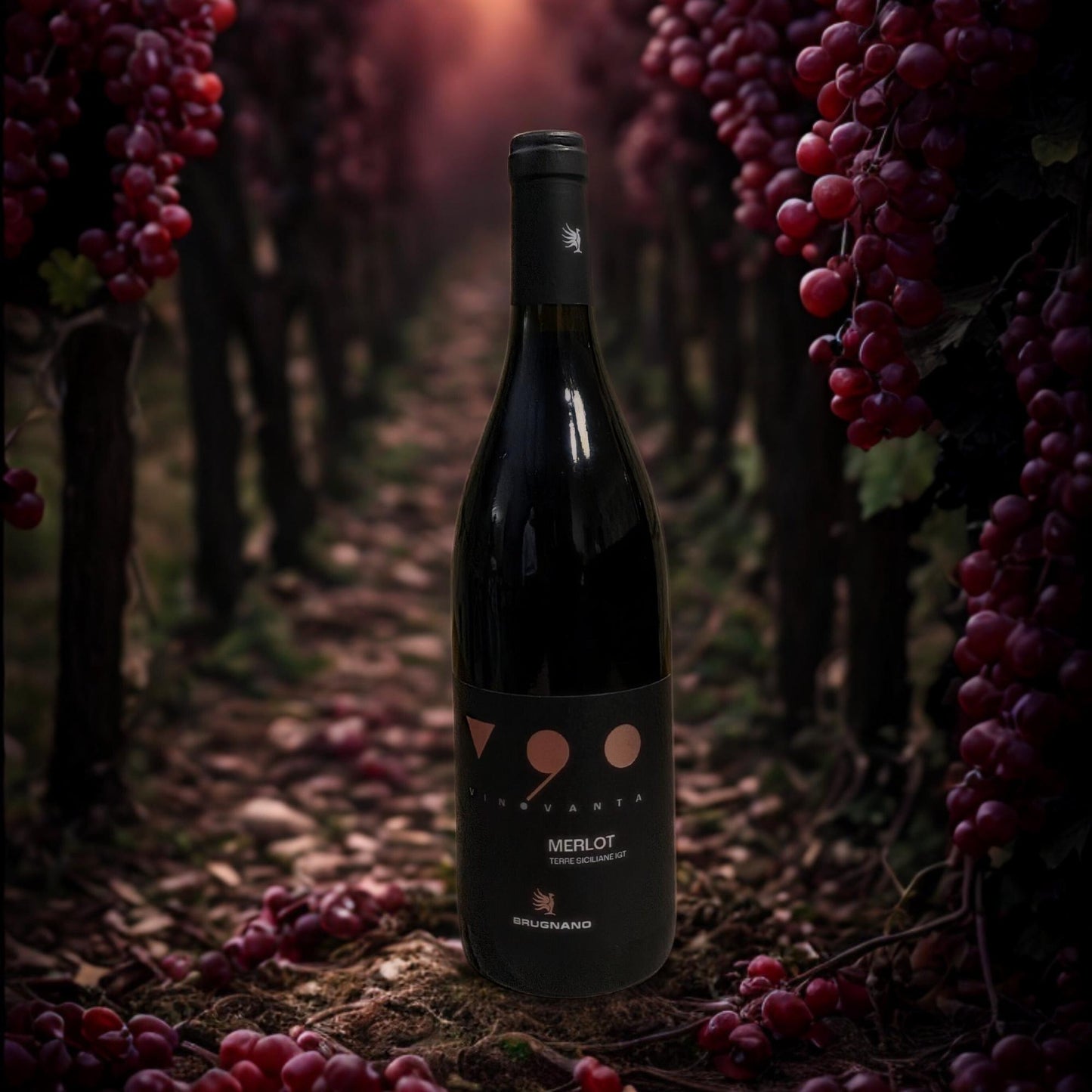 V 90 MERLOT