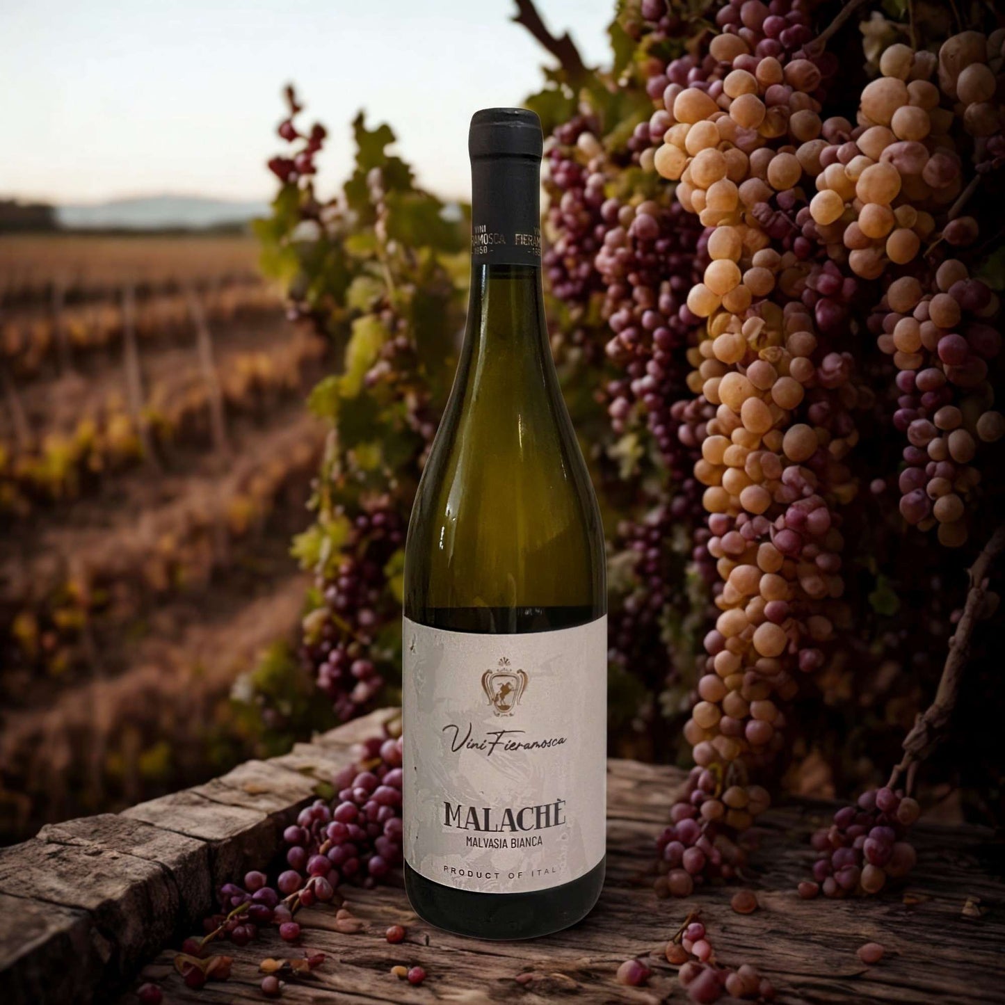 MALVASIA MALACHÈ