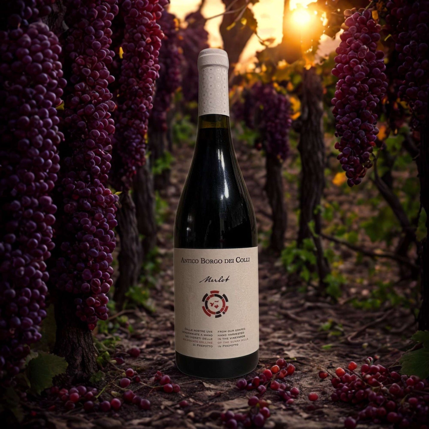 MERLOT DOC