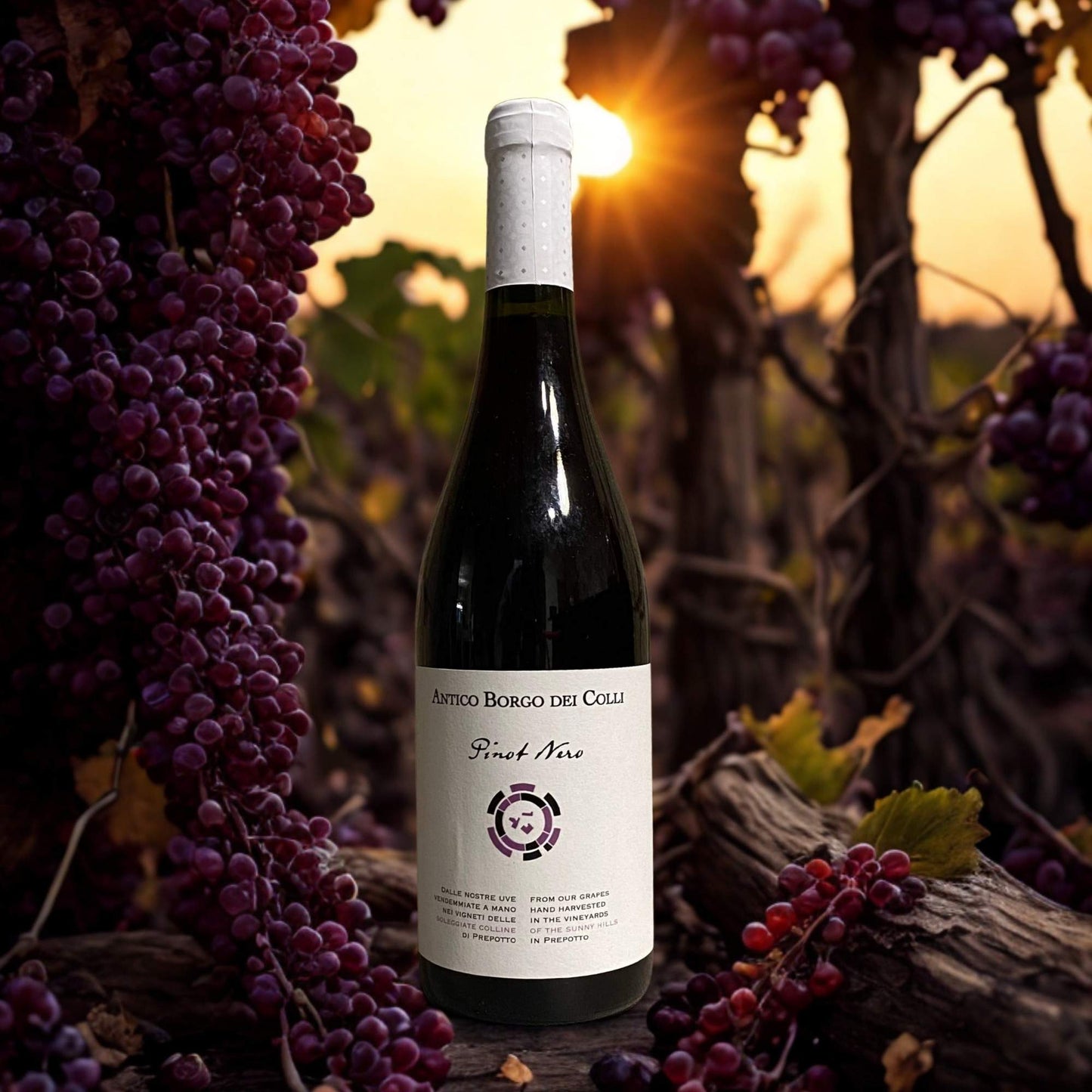 PINOT NERO