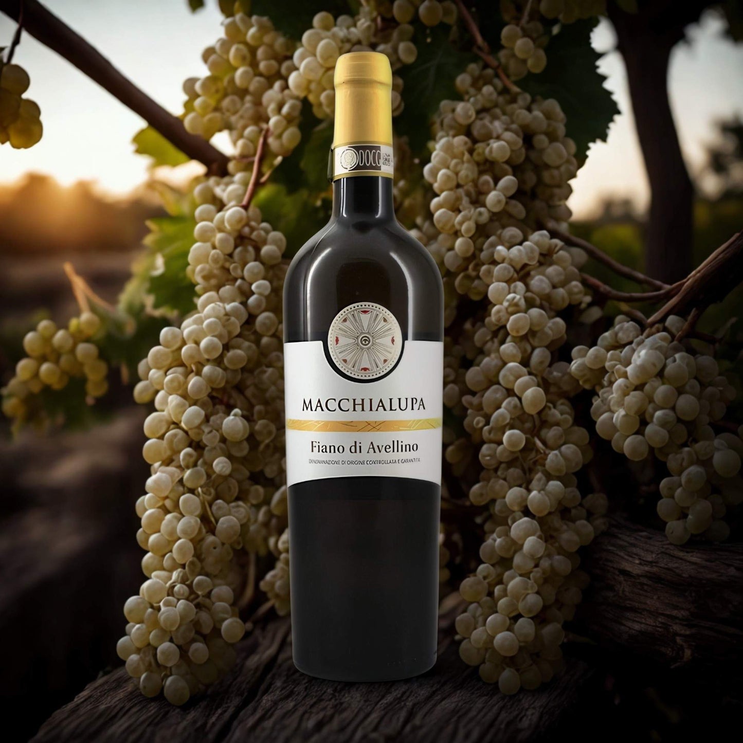 FIANO DI AVELLINO DOCG