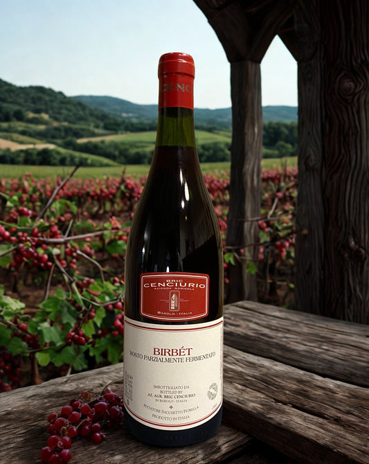 BRANCHETTO BIRBÈT PARTIALLY FERMENTED MUST-BRIC CENCIURIO