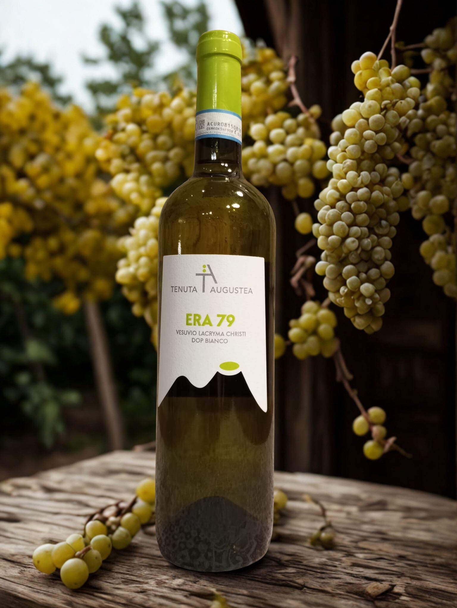 ERA 79 BIANCO-TENUTA AUGUSTEA TENUTA AUGUSTEA