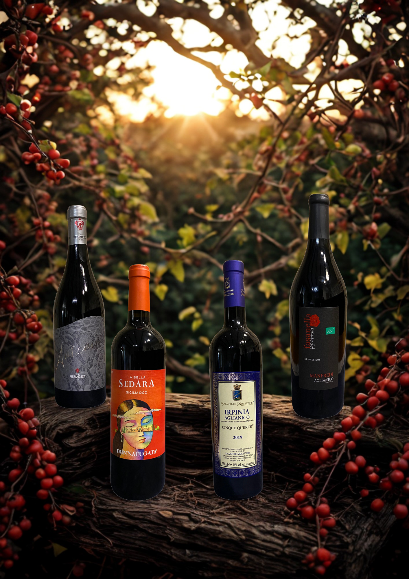 🍷 "ROSSO PRESTIGE – BOX VINI ROSSI D'ITALIA"