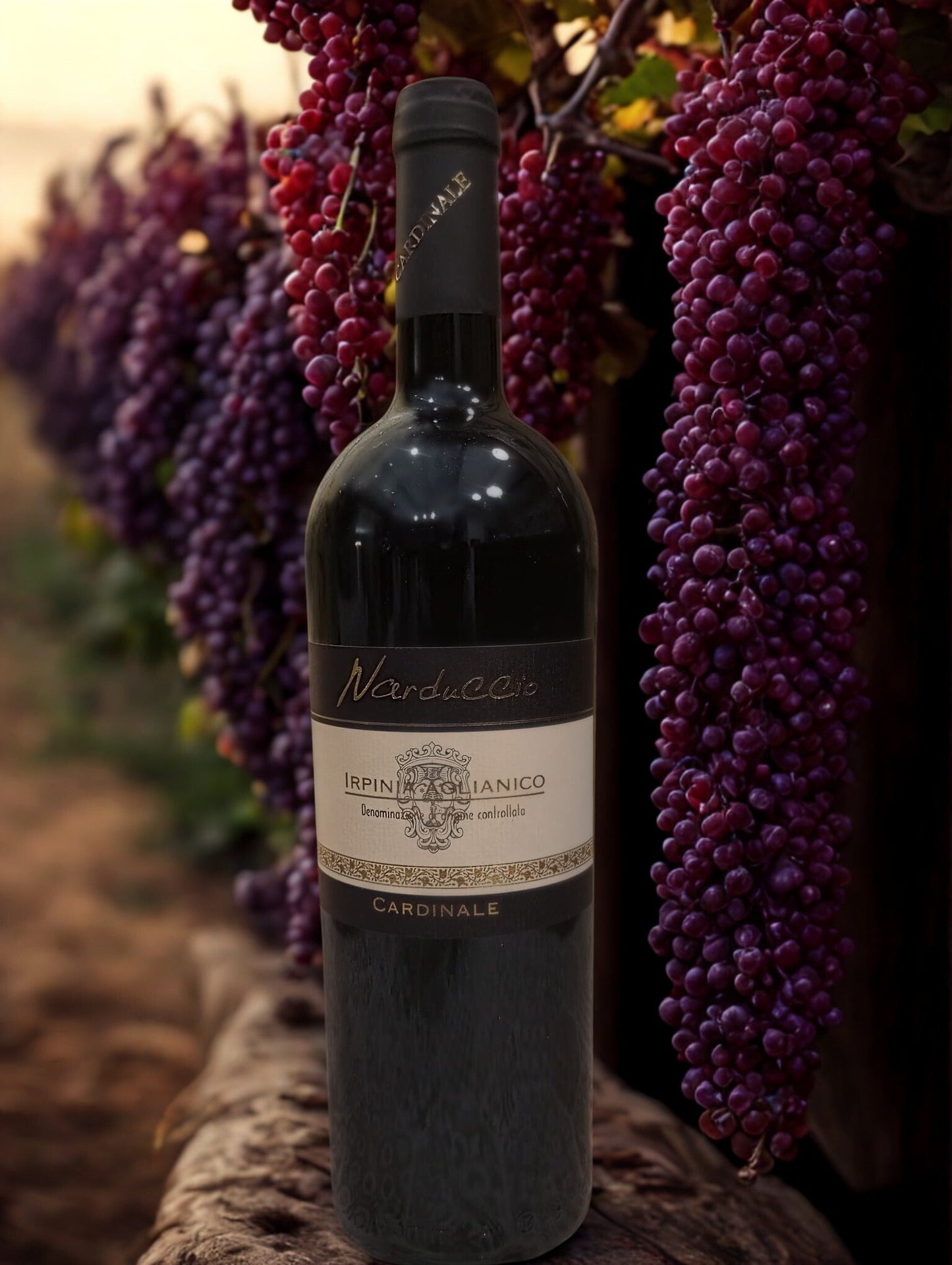 NARDUCCIO DOC Cardinale