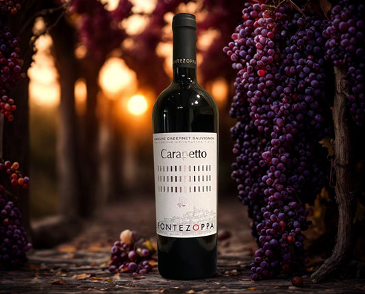 CABERNET SAUVIGNON CARAPETTO-FONTEZOPPA
