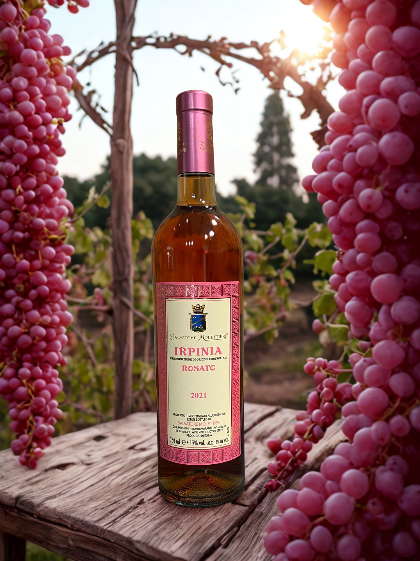 AGLIANICO IRPINIA DOC ROSE 2021-SALVATORE MOLETTIERI