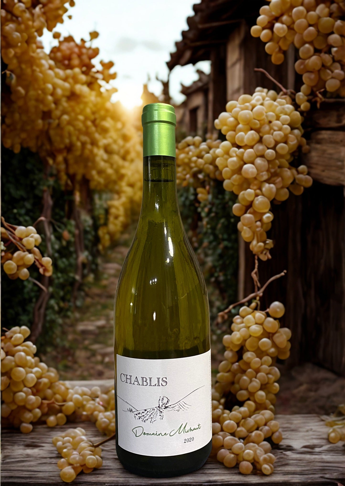 CHARDONNAY CHABLIS AOC 2020 Domaine Michaut