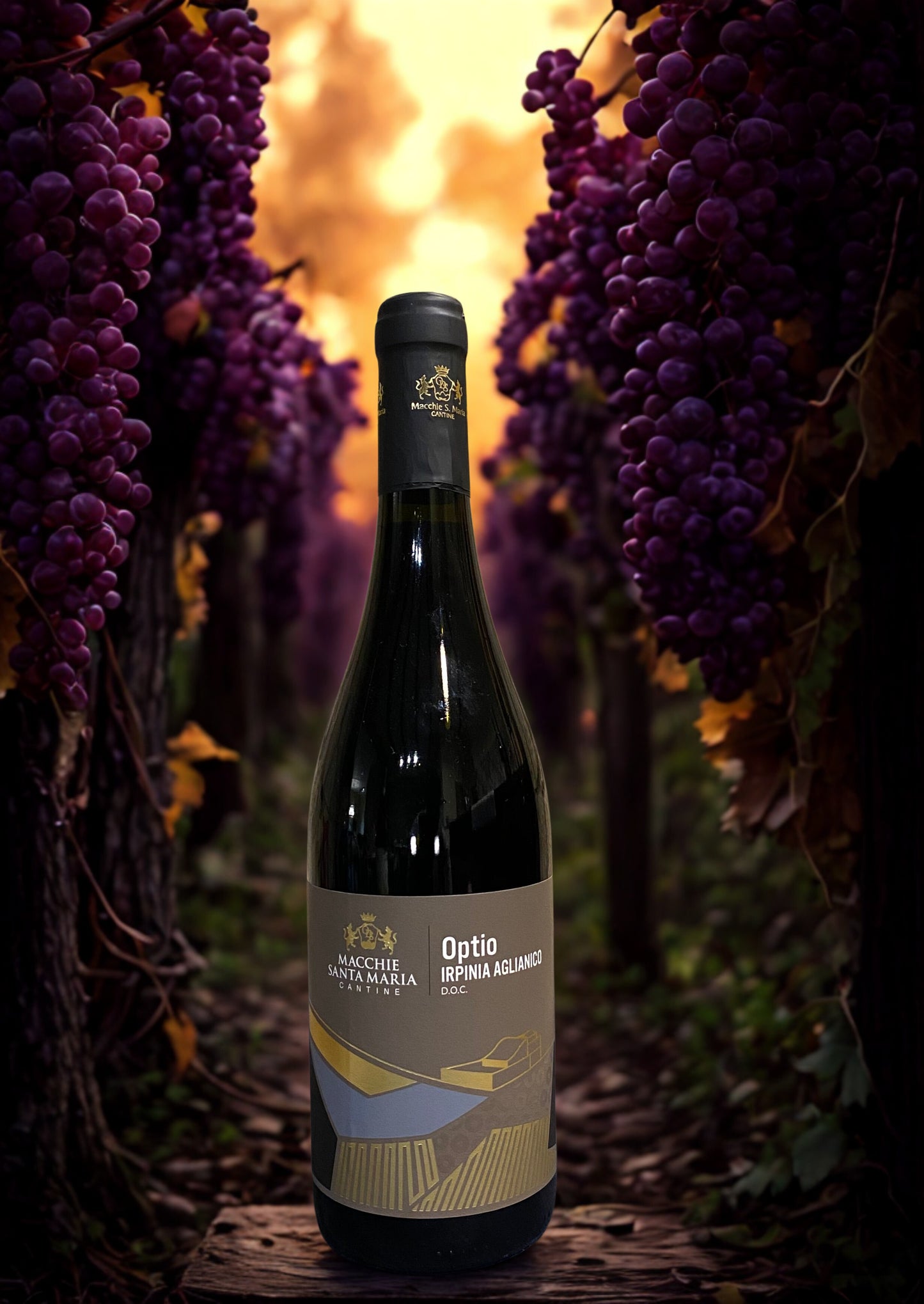 AGLIANICO OPTIO IRPINIA DOC 2018-MACCHIE SANTA MARIA