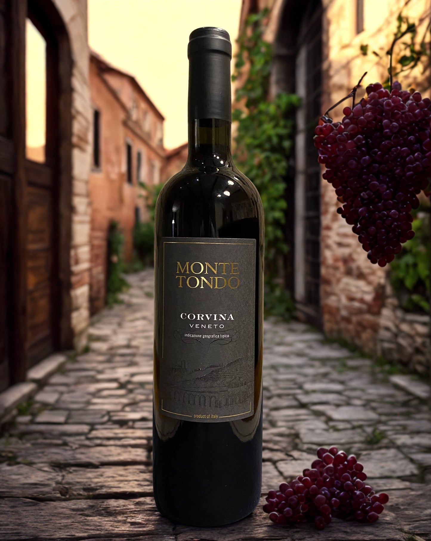 CORVINA IGT VENETO 2022-MONTE TONDO