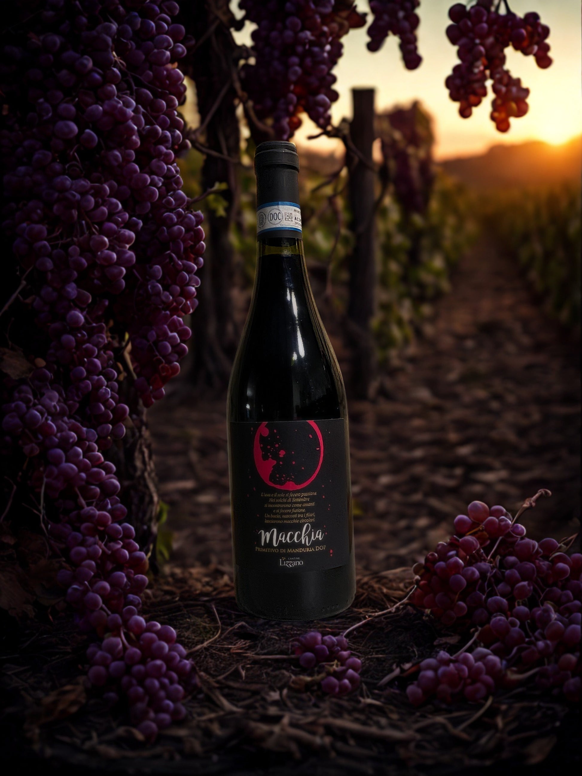 PRIMITIVO DI MANDURIA DOP MACCHIA-CANTINE LIZZANO CANTINE LIZZANO