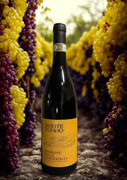 CORVINA RONDINELLA AMARONE DELLA VALPOLICELLA DOCG 2018-MONTE TONDO