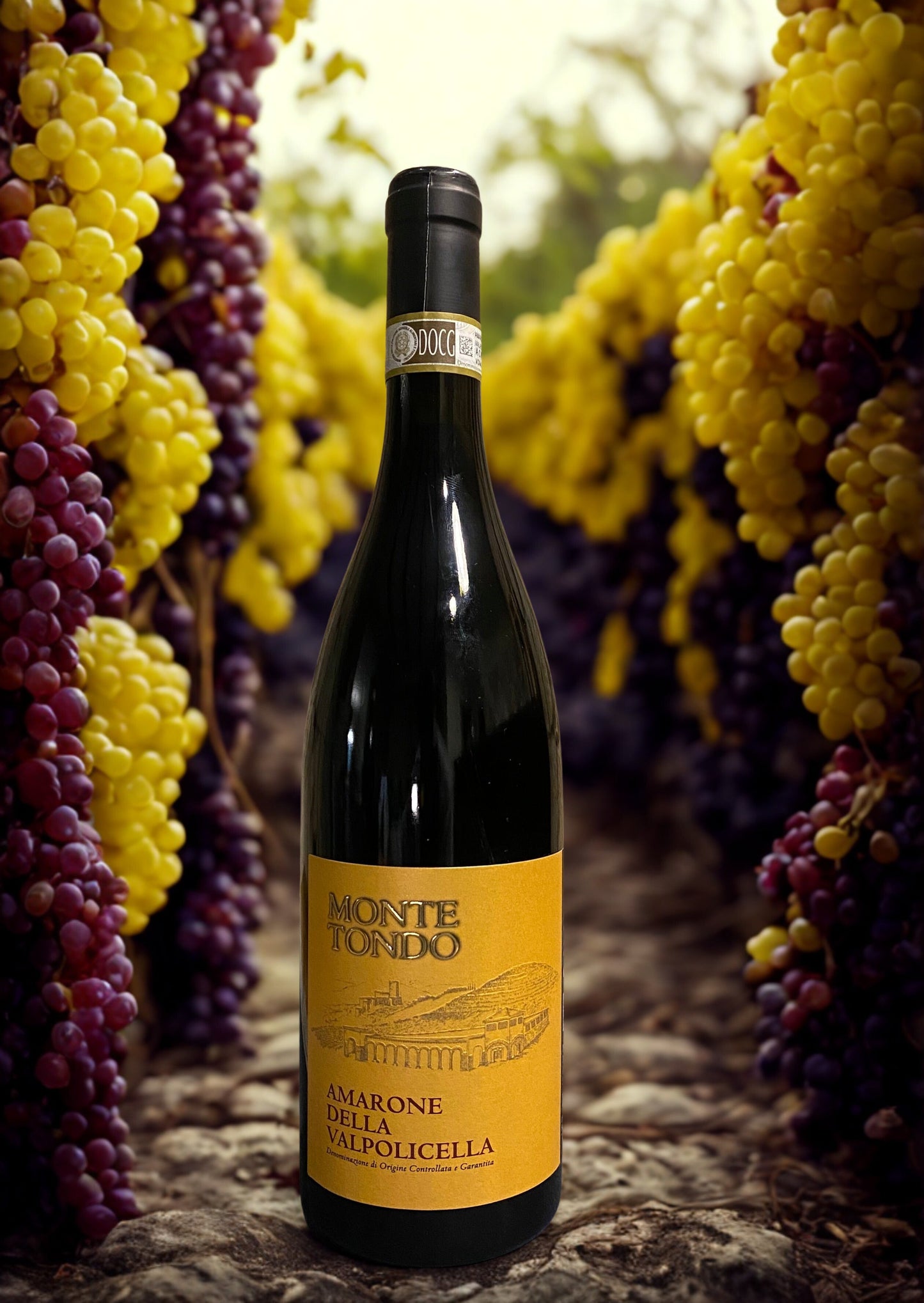 CORVINA RONDINELLA AMARONE DELLA VALPOLICELLA DOCG 2018-MONTE TONDO Monte tondo