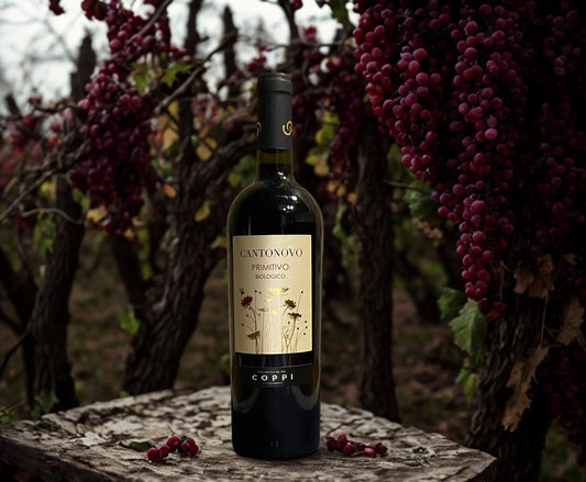 ORGANIC PRIMITIVO CANTONOVO IGP PUGLIA-COPPI