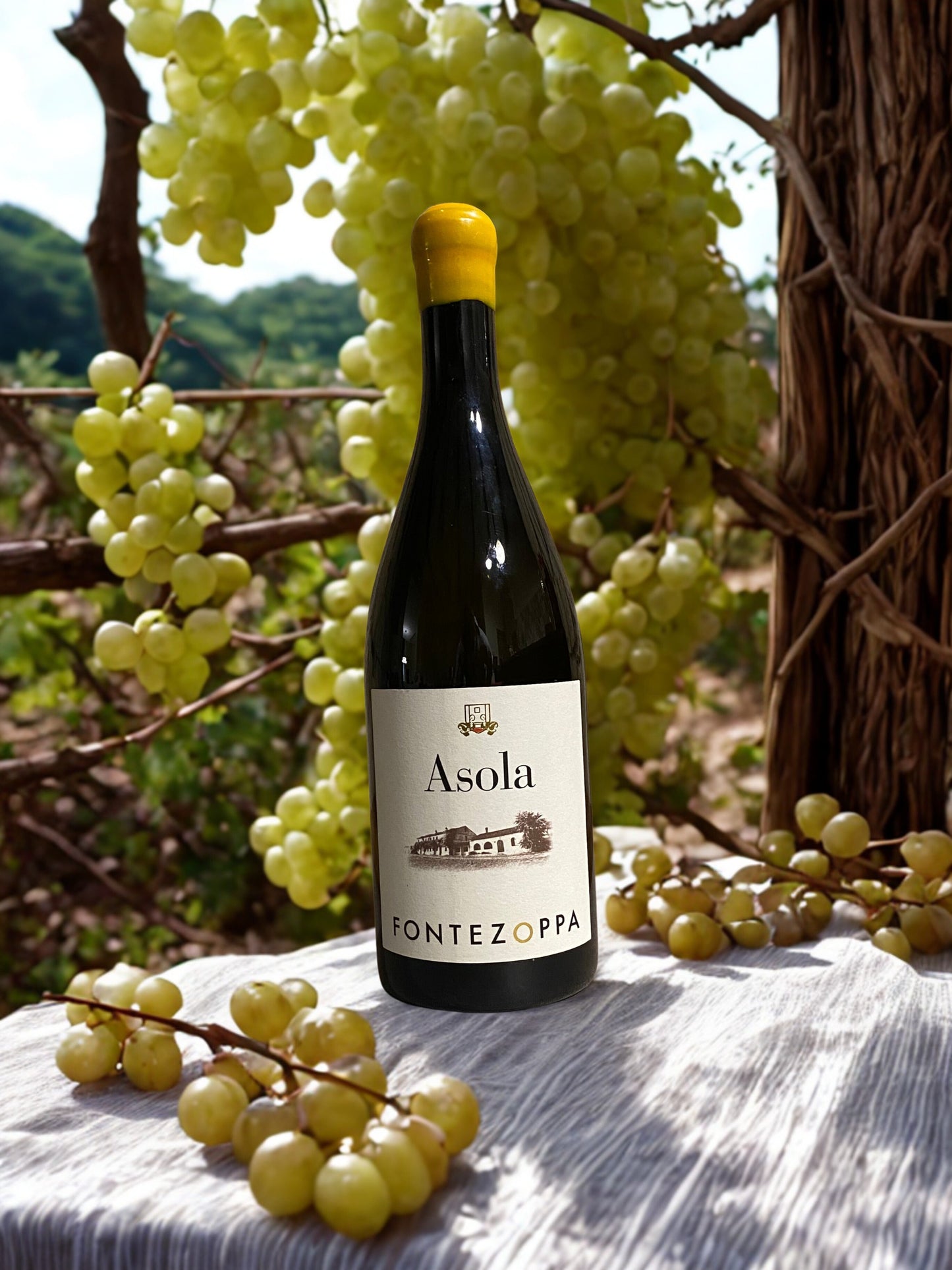 ASOLA 2019-FONTEZOPPA Fontezoppa