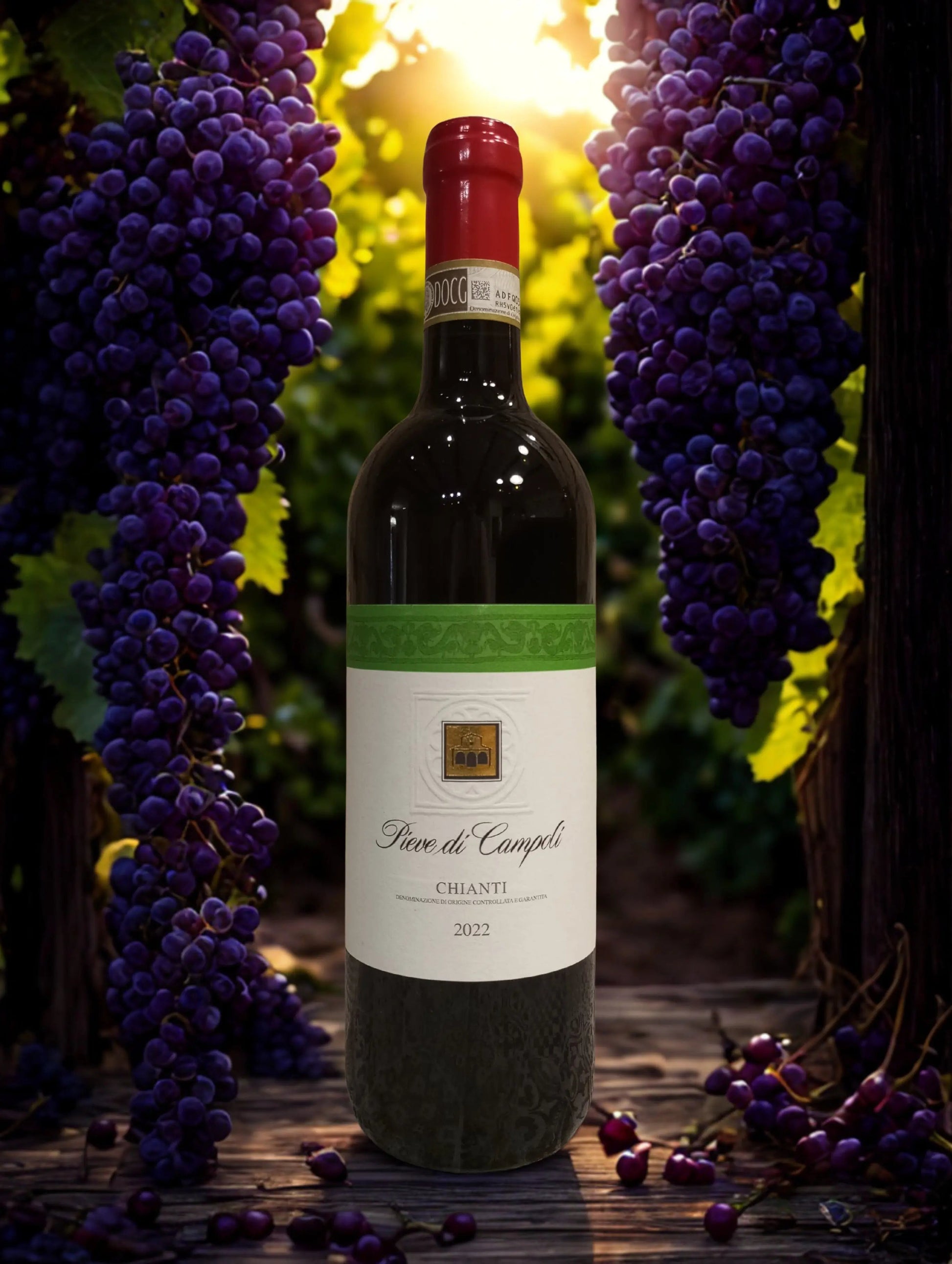 CHIANTI DOCG 2022-PIEVE DI CAMPOLI PIEVE DI CAMPOLI