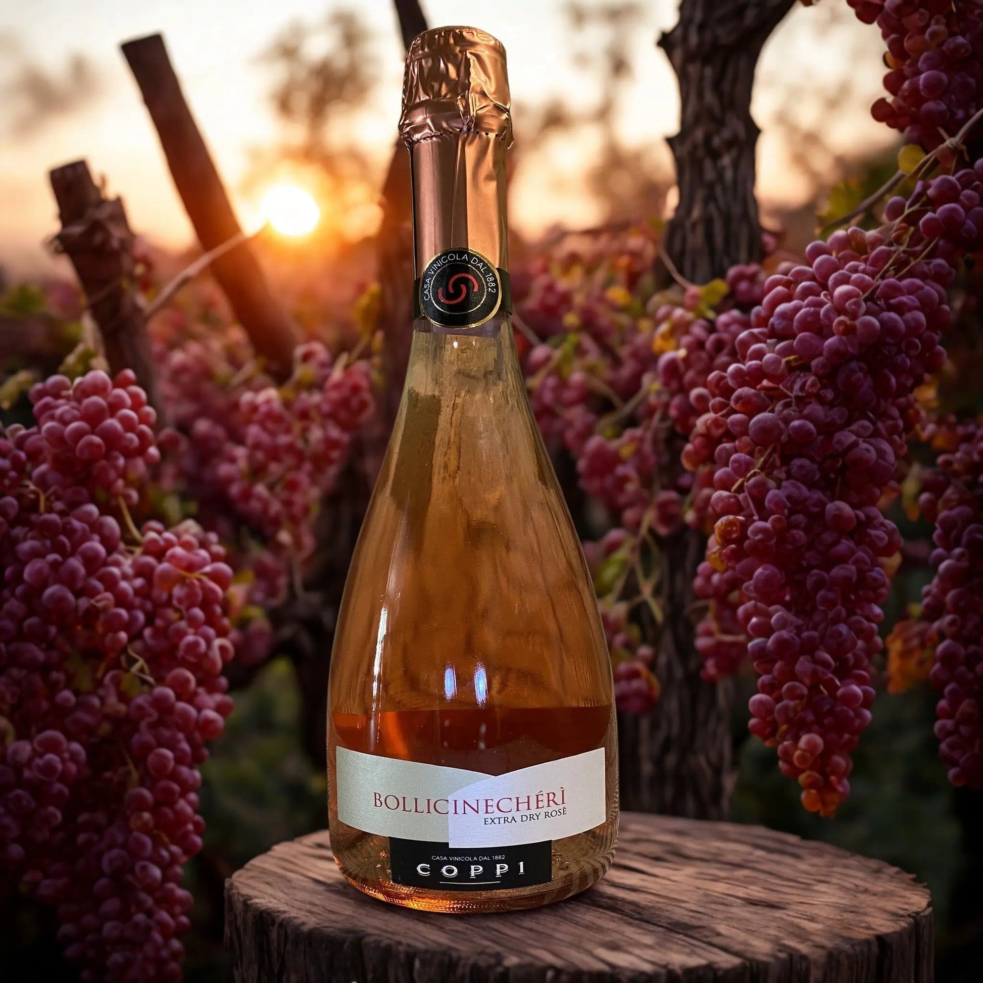 NEGROAMARO PROSECCO BOLLICINE CHERÌ EXTRA DRY SALENTO ROSÈ I.G.P.-COPPI COPPI