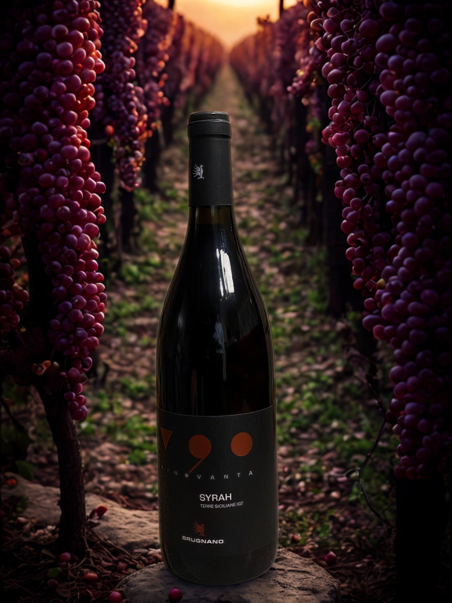 V 90 SYRAH-BRUGNANO BRUGNANO