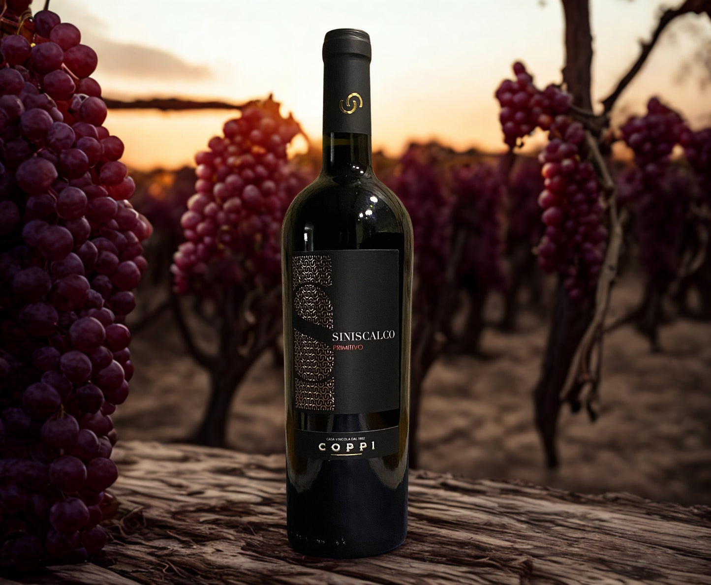 PRIMITIVO SINISCALCO IGP PUGLIA-COPPI
