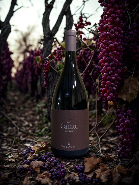 MERLOT CAMOI 2018 1,5L-COL SANDAGO Col Sandago