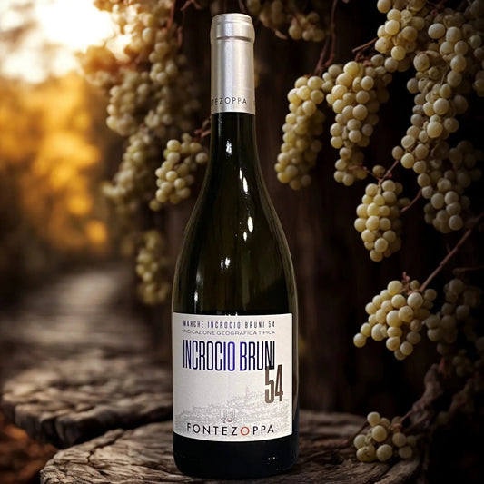 BRUNI CROSSROAD 54-FONTEZOPPA