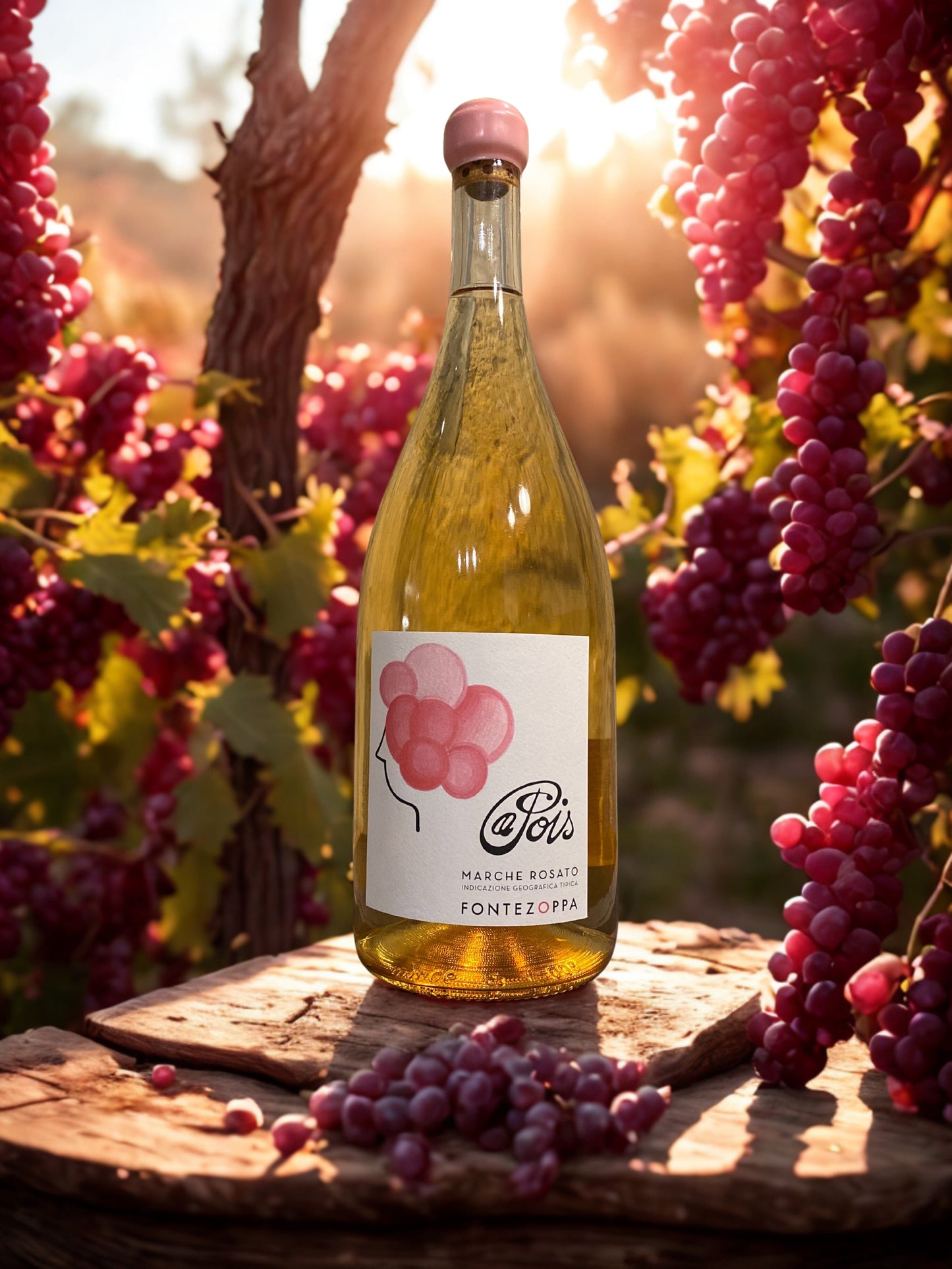 PINOT NERO A POIS 3L- FONTEZOPPA Fontezoppa