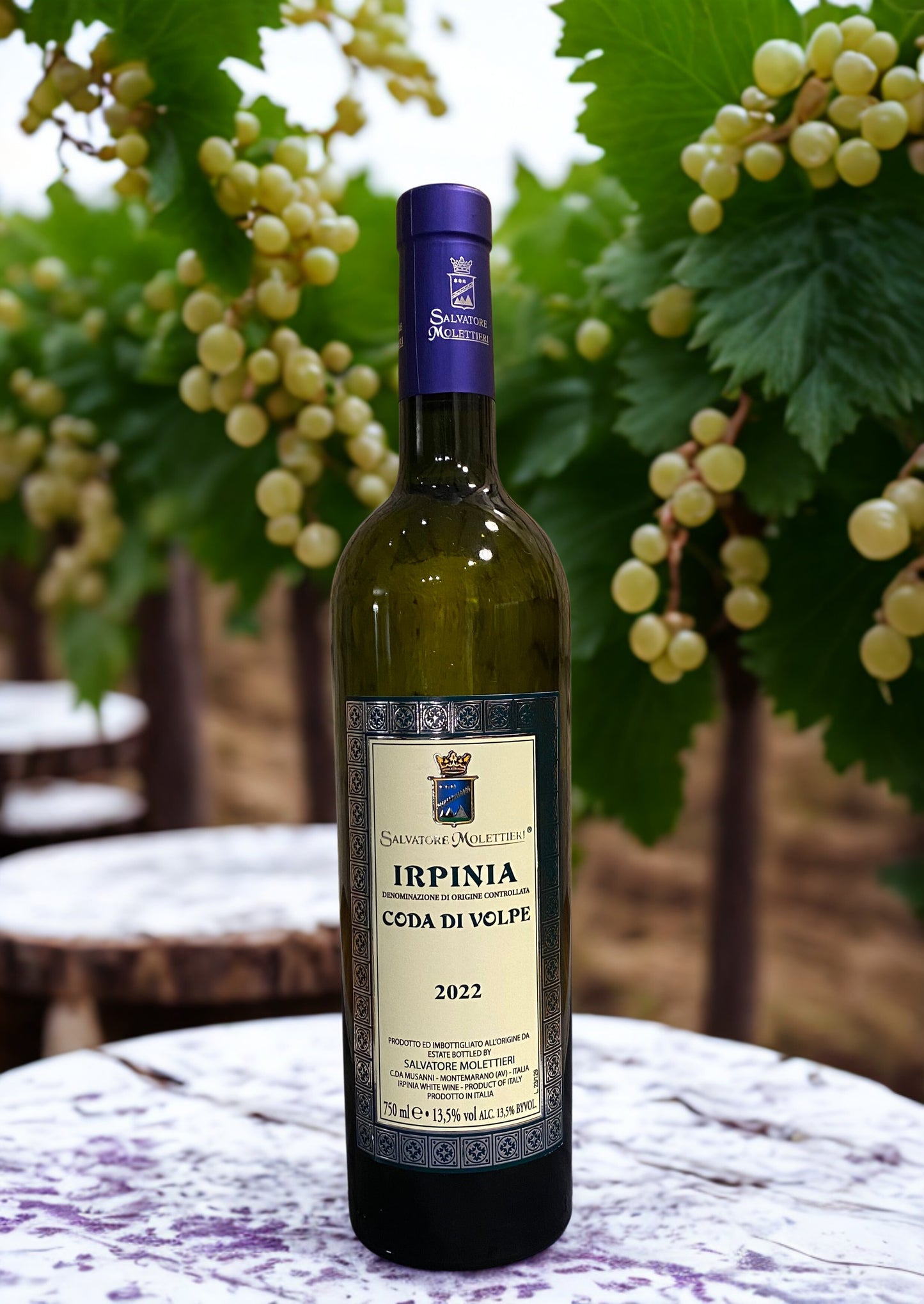 FOXTAIL IRPINIA 2022-SALVATORE MOLETTIERI