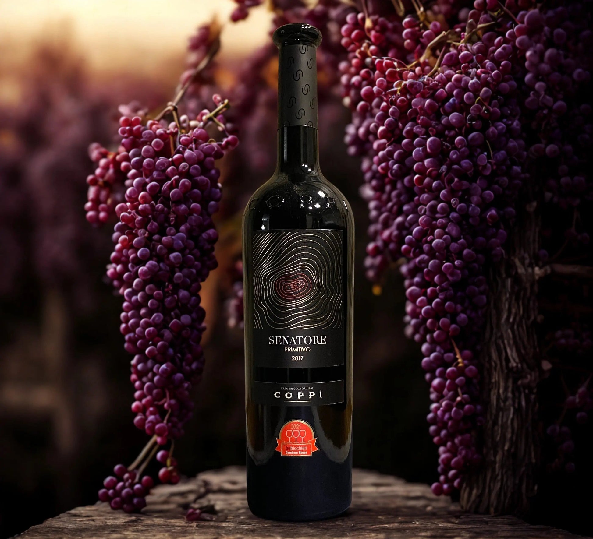 PRIMITIVO SENATORE D.O.C. GIOIA DEL COLLE-COPPI COPPI