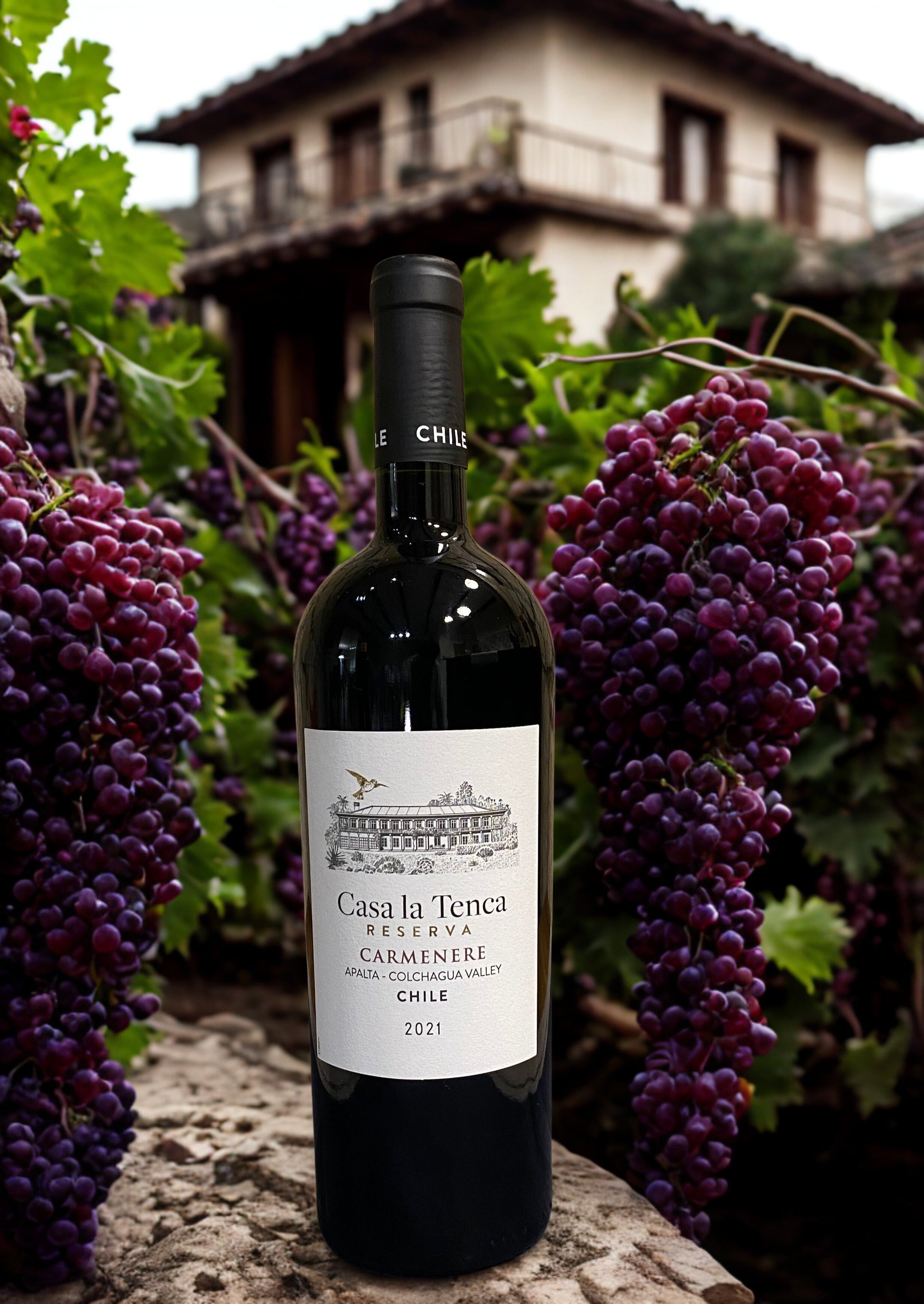 CARMENERE RESERVA 2021-CASA LA TENCA CASA LA TENCA