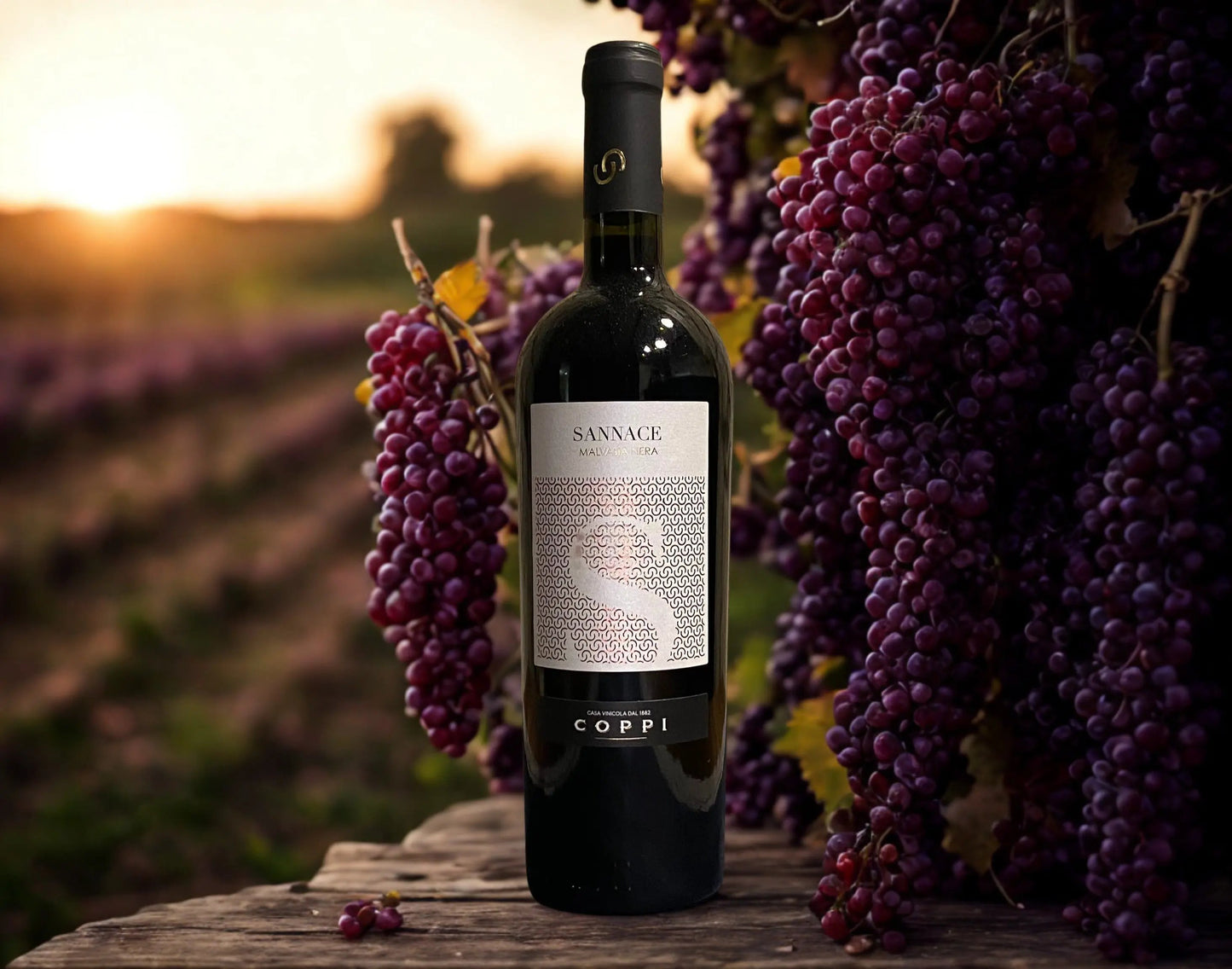MALVASIA NERA SANNACE  I.G.P. PUGLIA-COPPI COPPI