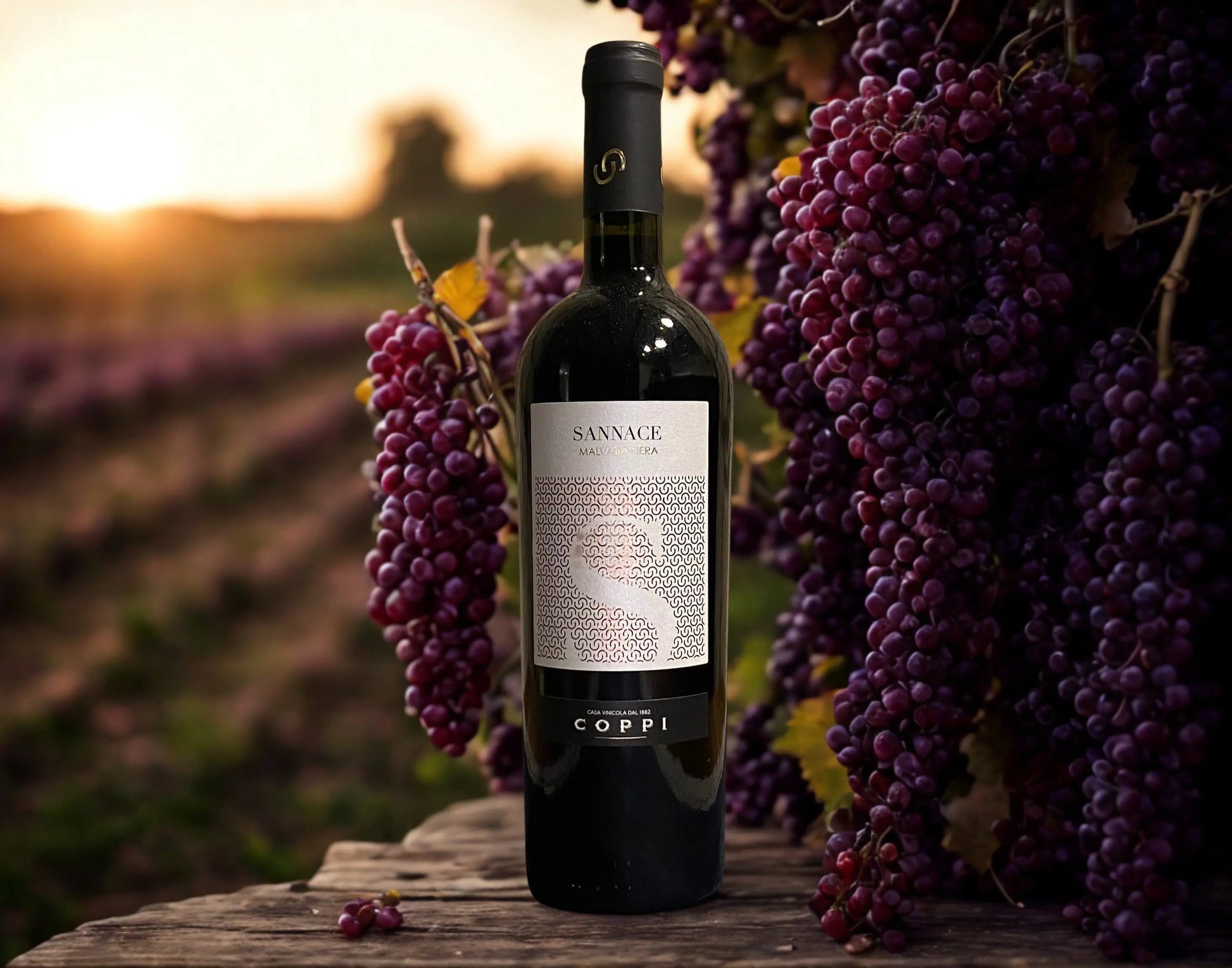 MALVASIA NERA SANNACE  I.G.P. PUGLIA-COPPI COPPI