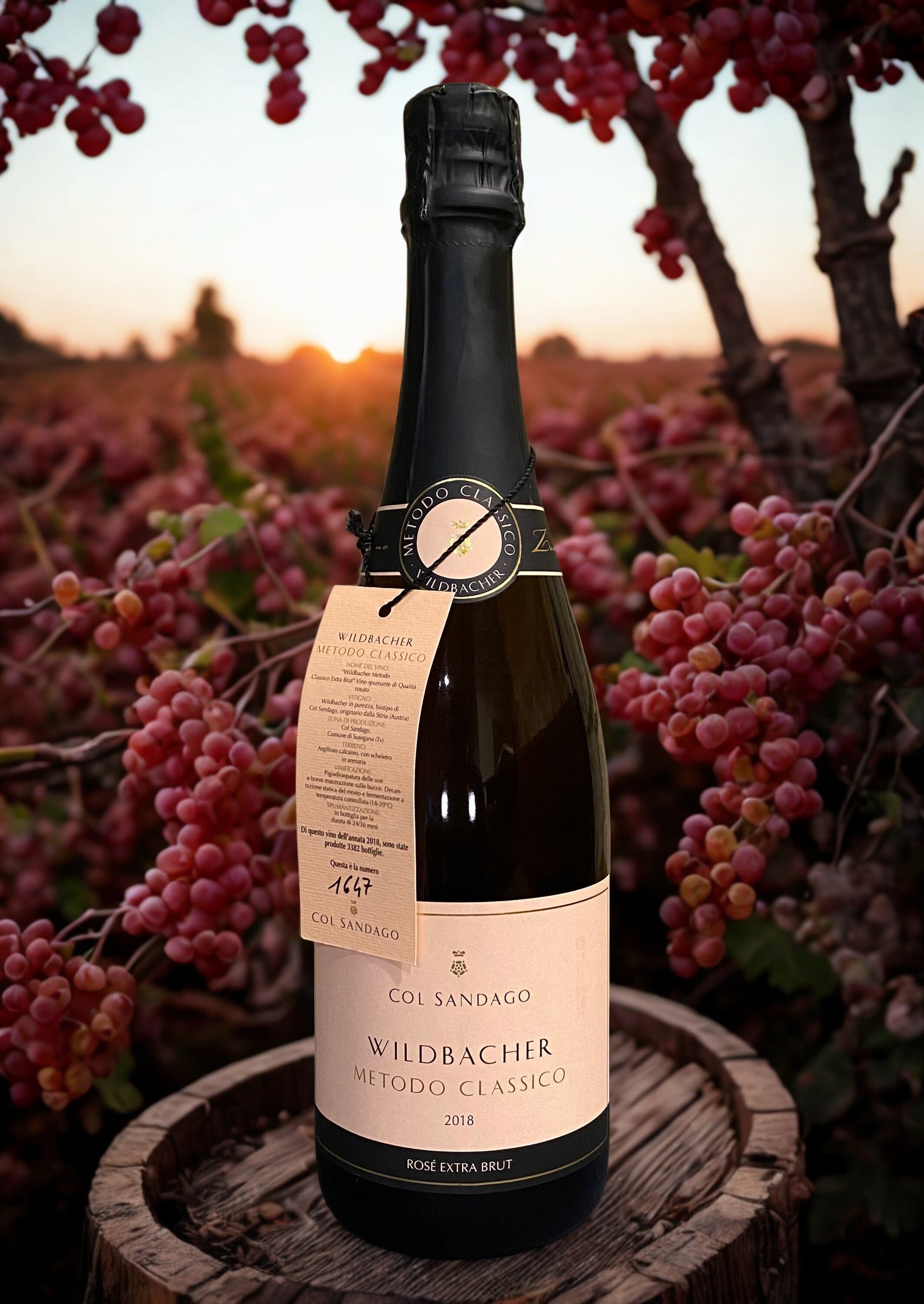 WILDBACHER PROSECCO METODO CLASSICO ROSÈ 2018-COL SANDAGO Col Sandago