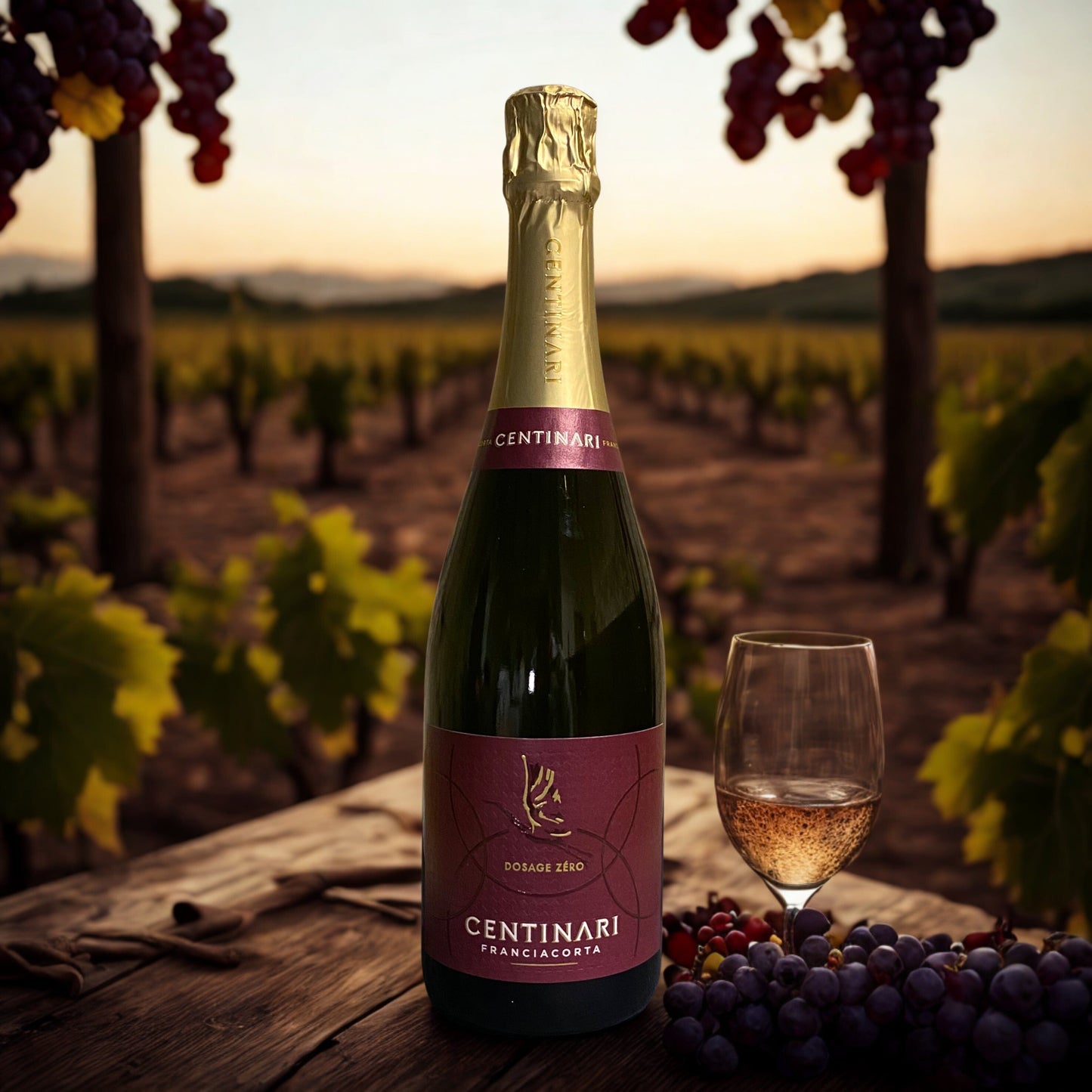 CHARDONNAY FRANCIACORTA DOSAGE ZÉRO Centinari