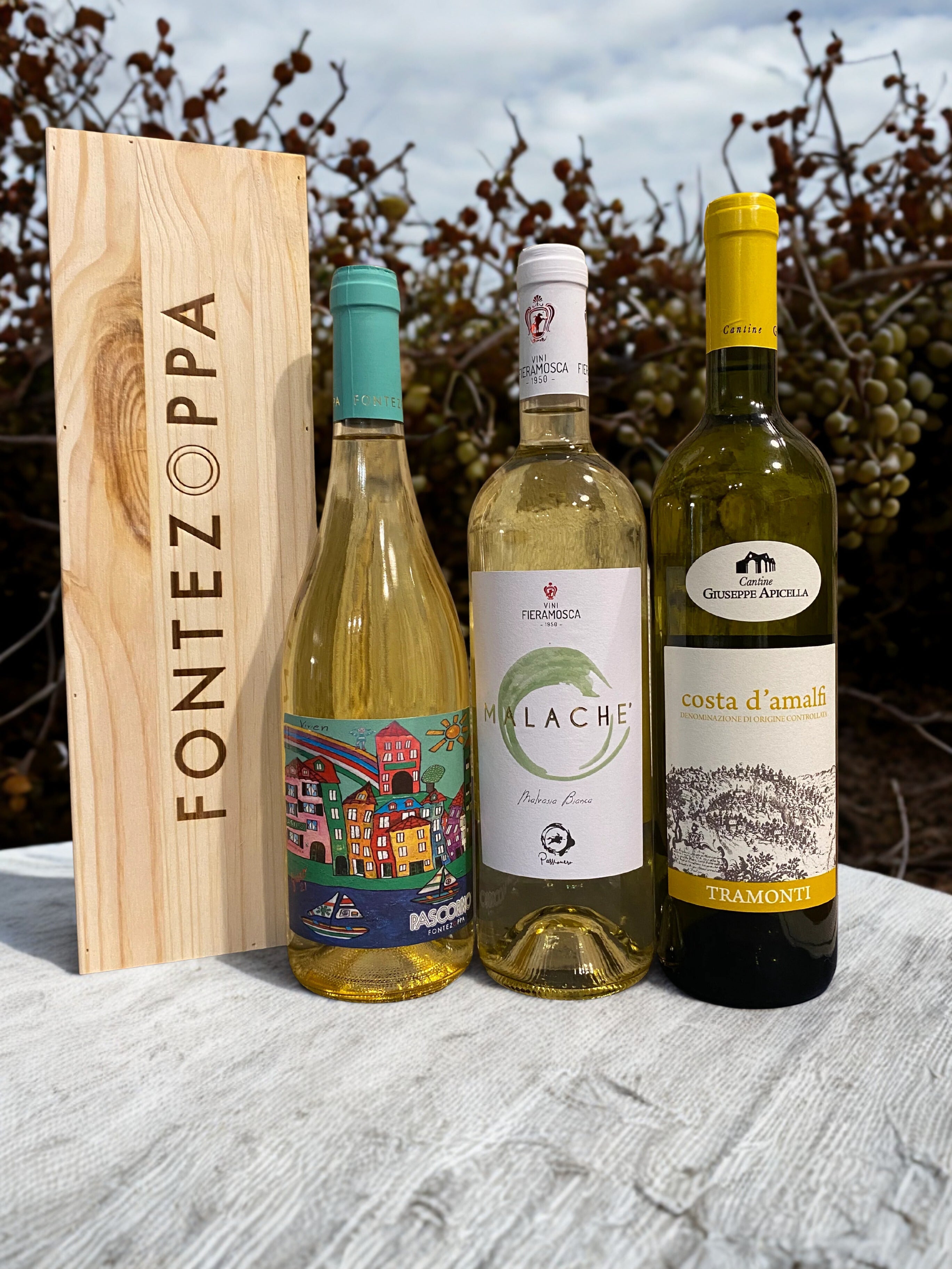 Vini-Bianchi Invictus Wine Bar