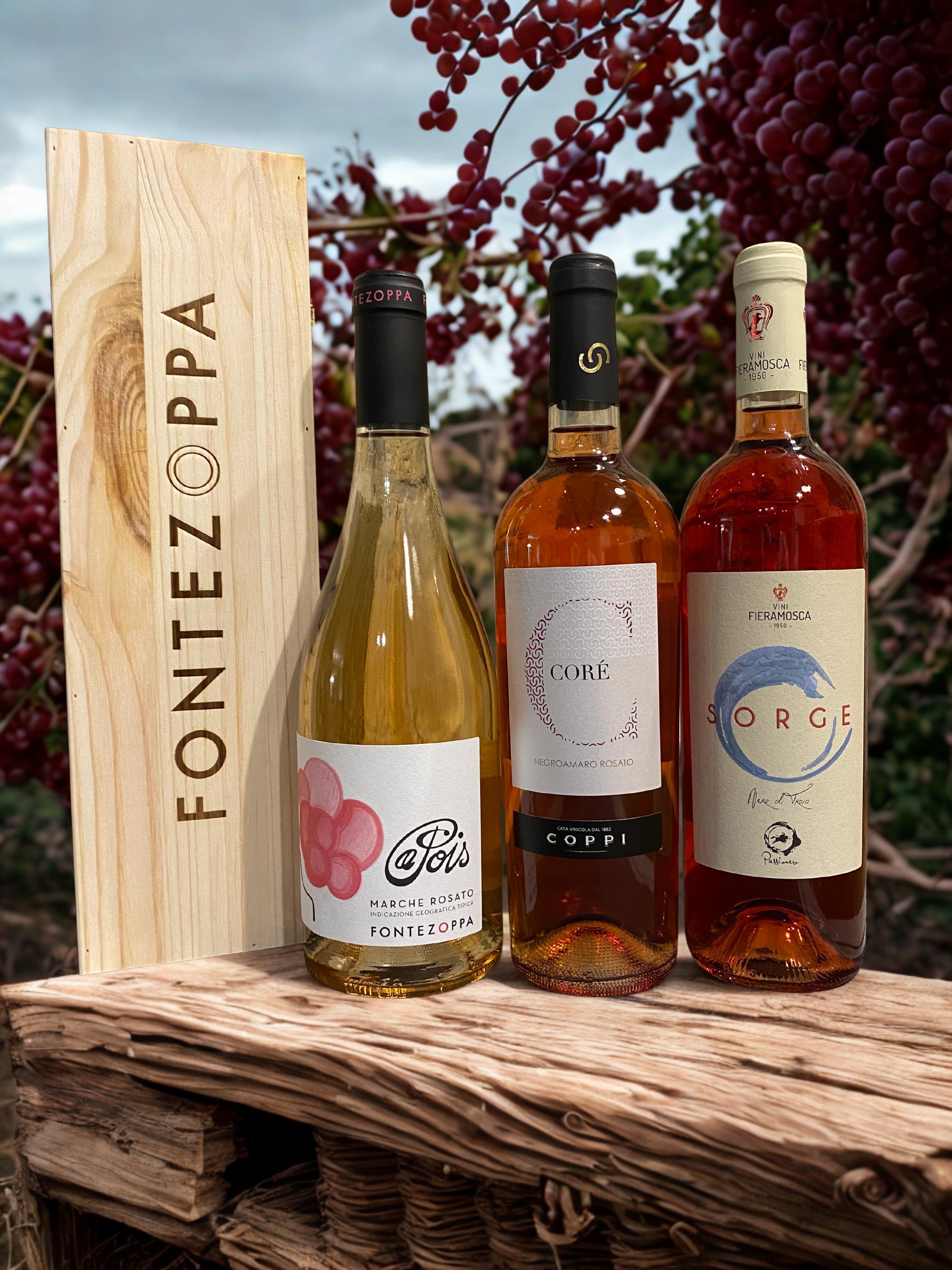 Vini Rosati Invictus Wine Bar