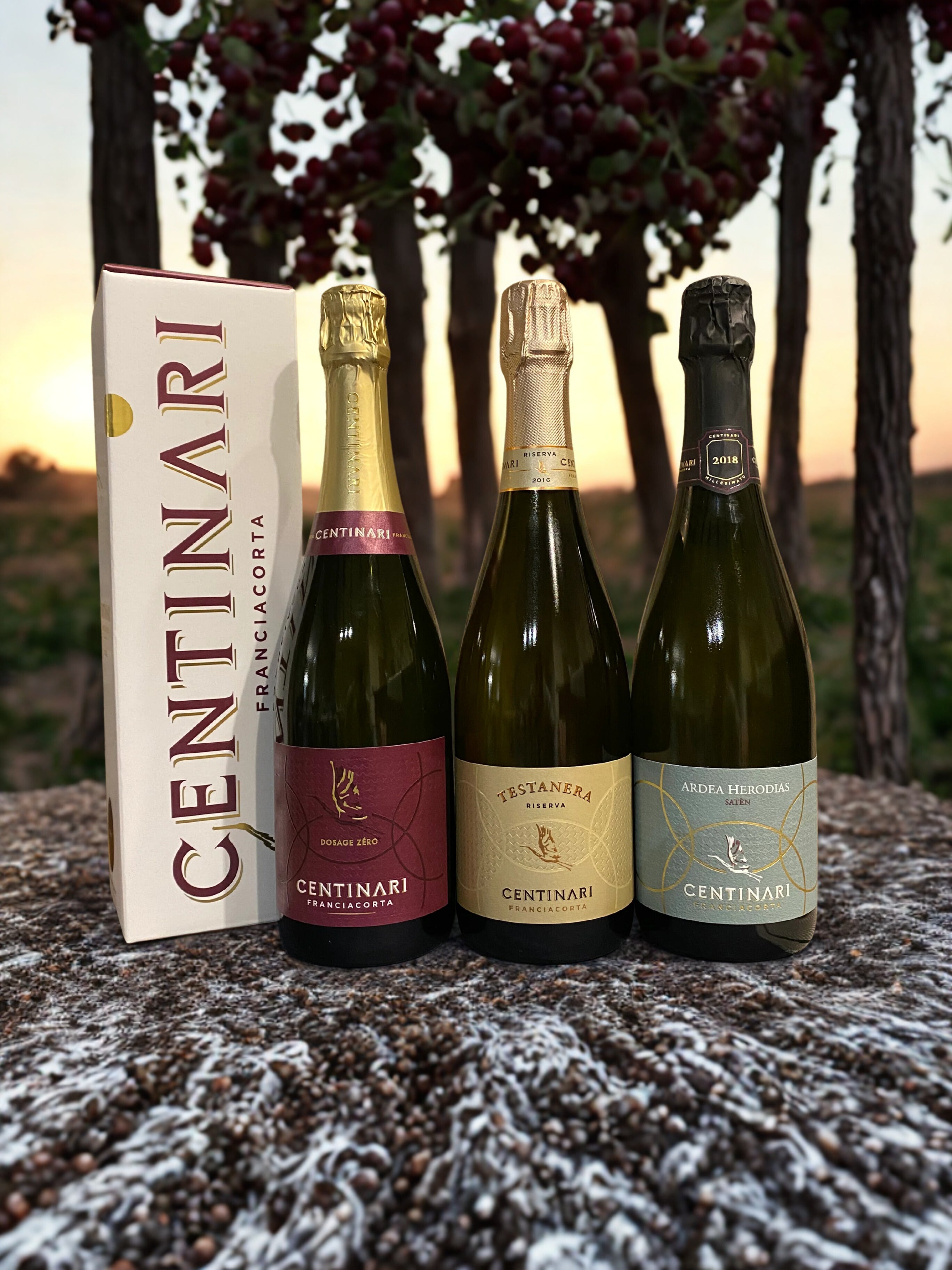 Spumanti Invictus Wine Bar