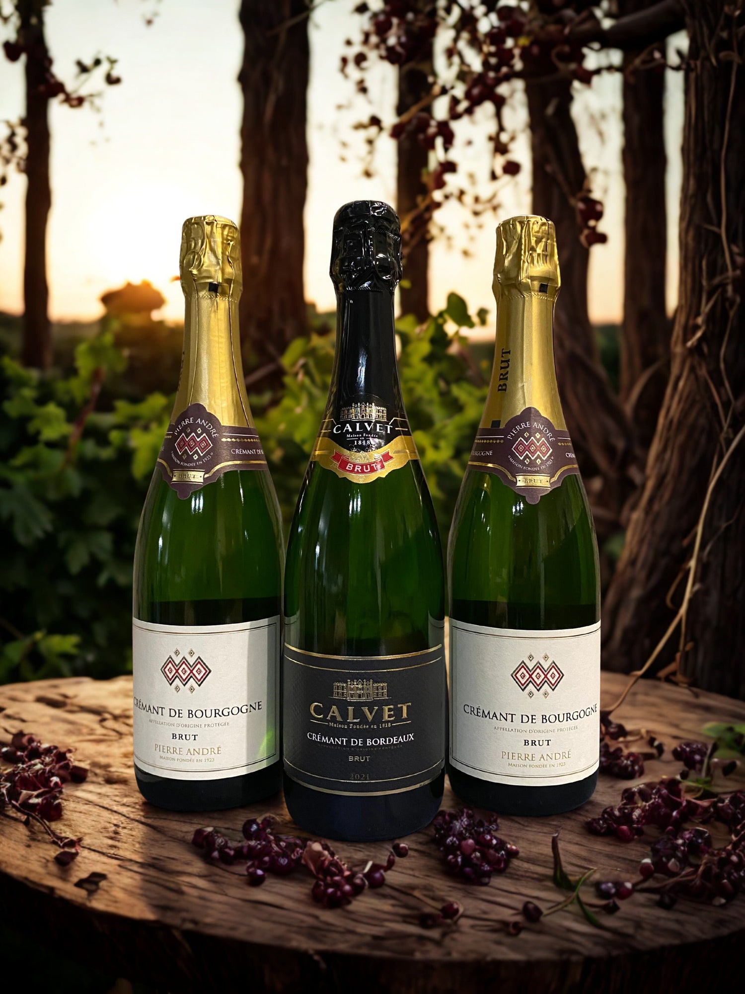 Champagne e Crémant