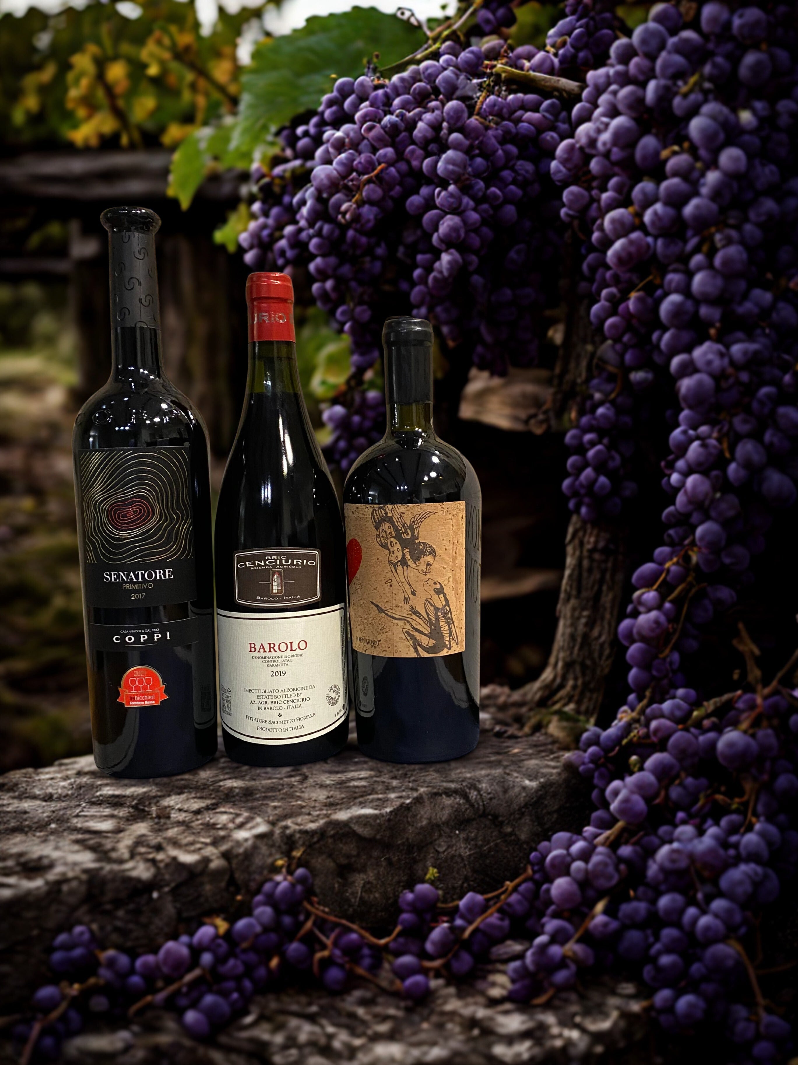 Vini-Rossi Invictus Wine Bar