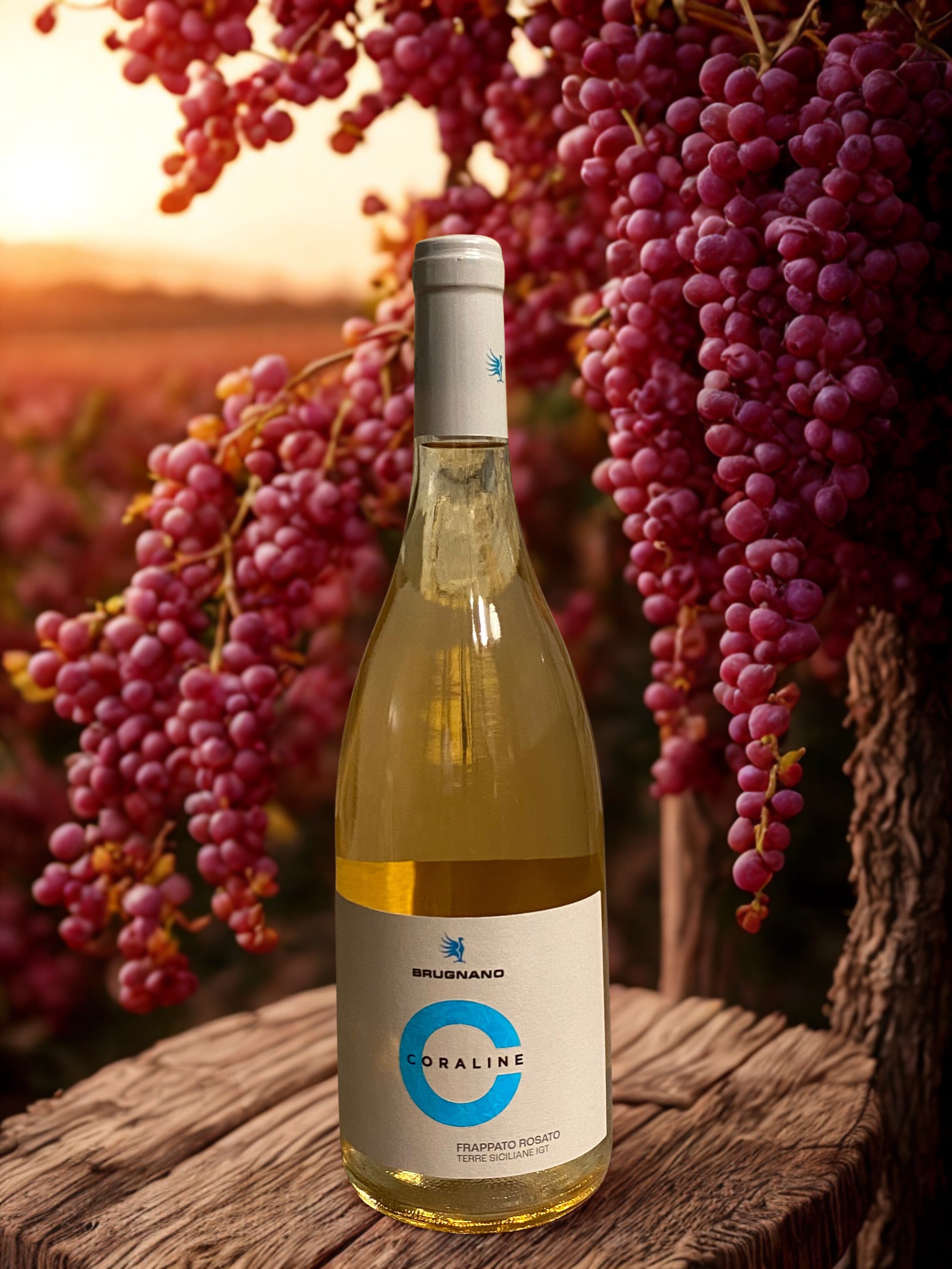 CORALINE-BRUGNANO BRUGNANO