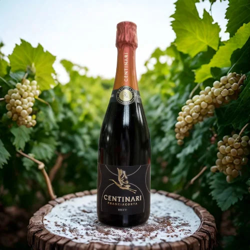 CHARDONNAY FRANCIACORTA BRUT